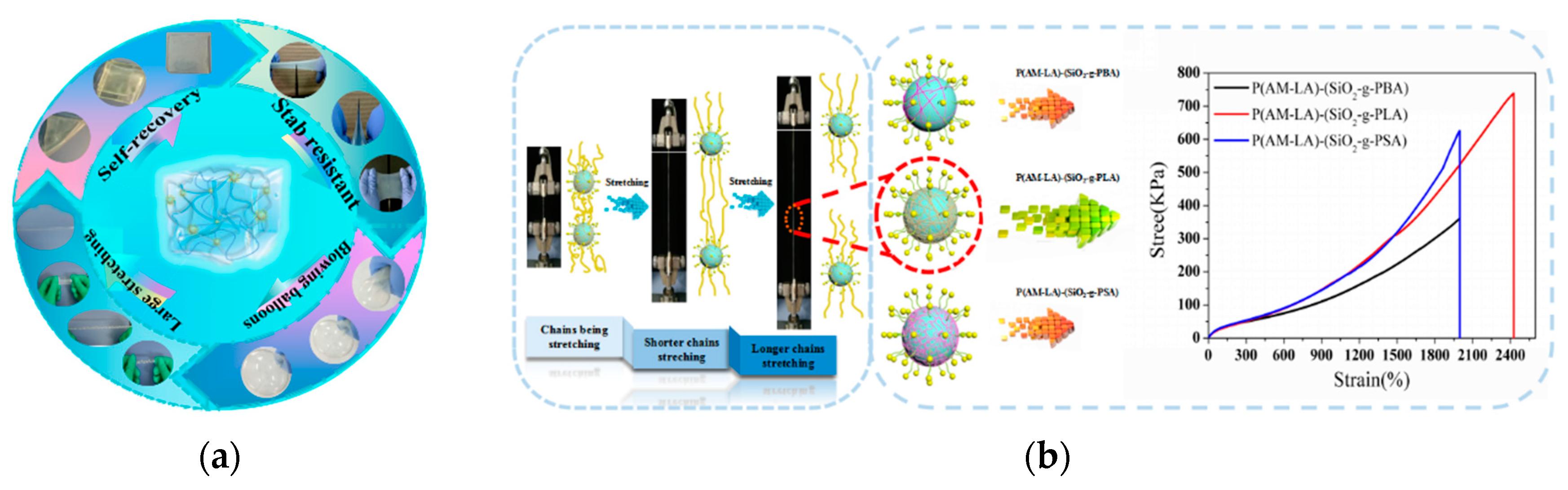 Polymers 11 00352 g010