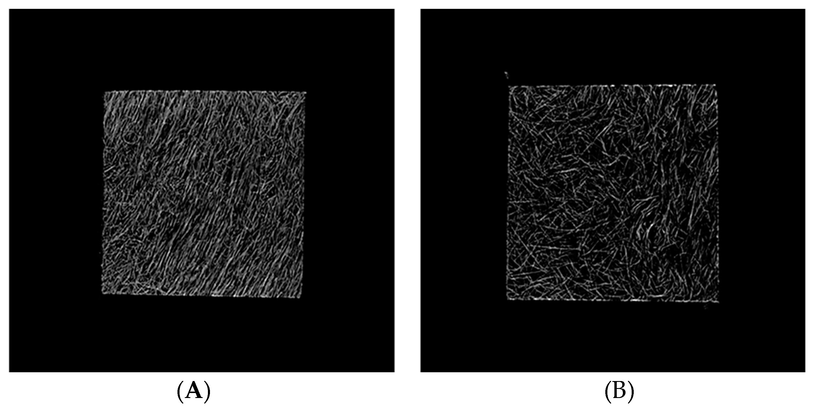 Polymers 11 00360 g007