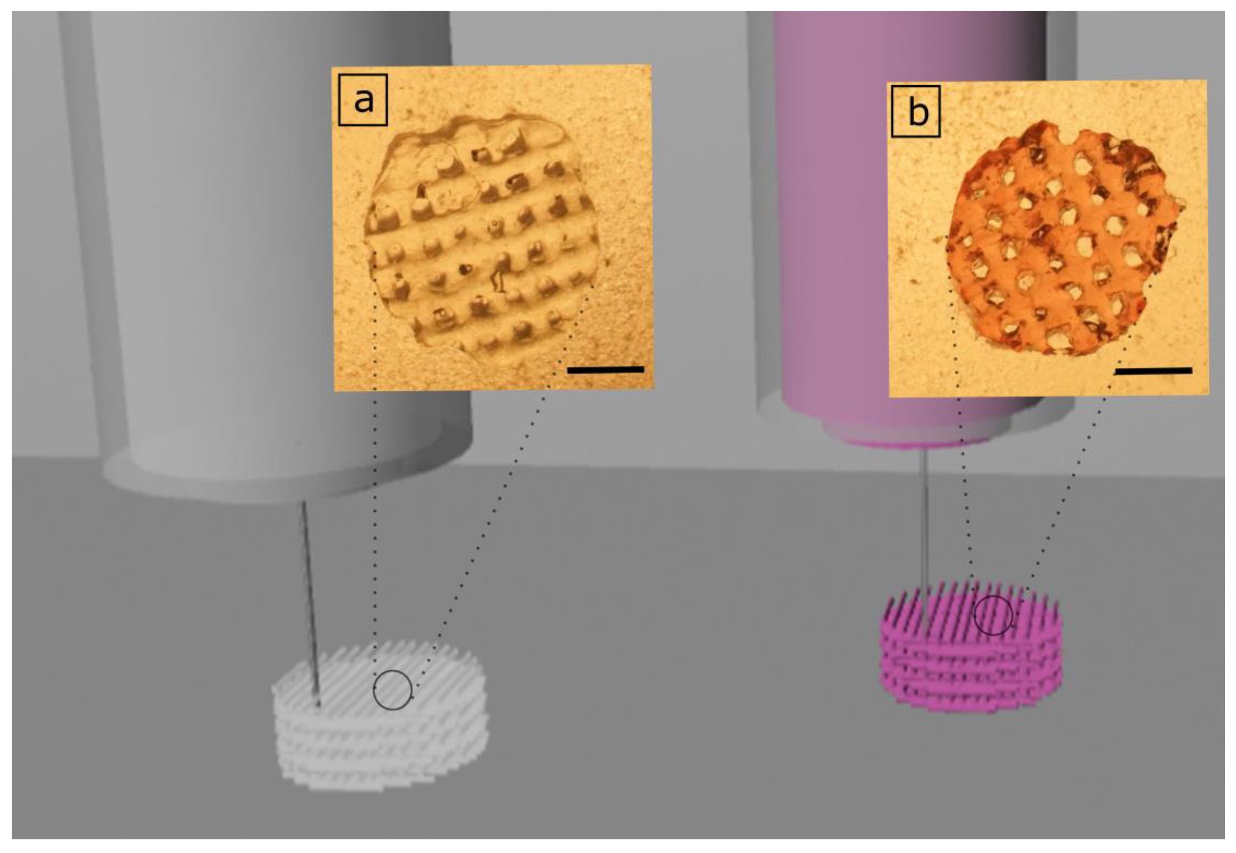 Polymers 11 00367 g003