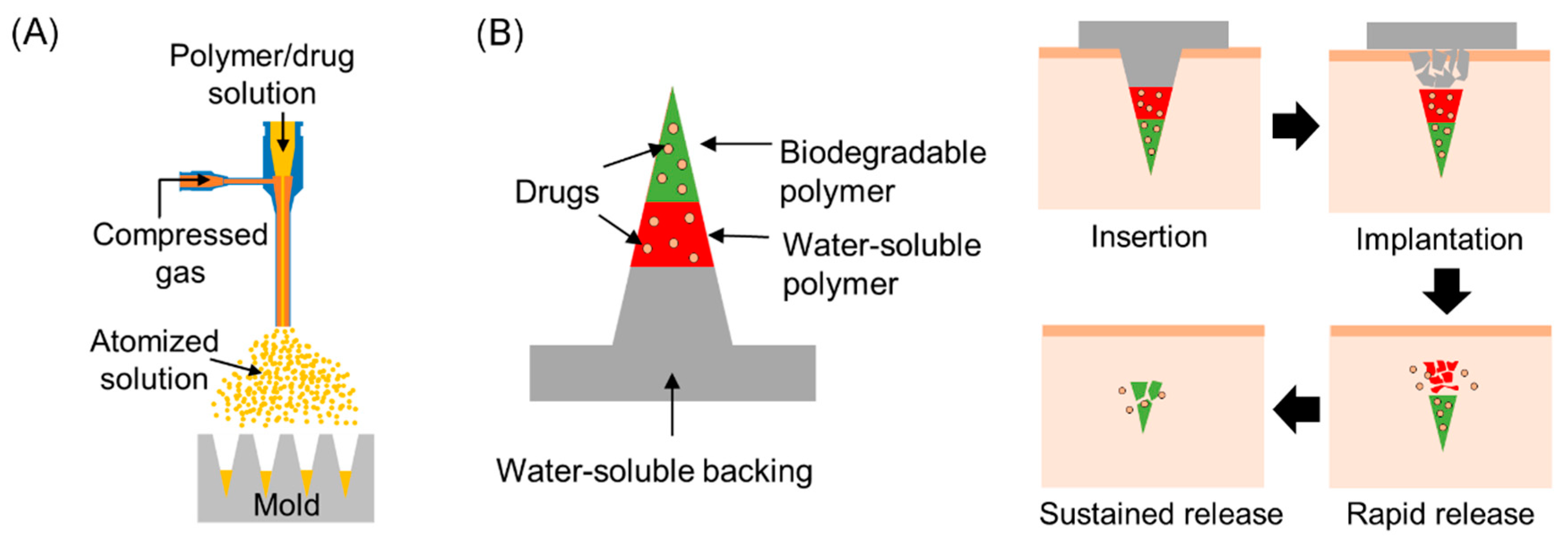 Polymers 11 00369 g001