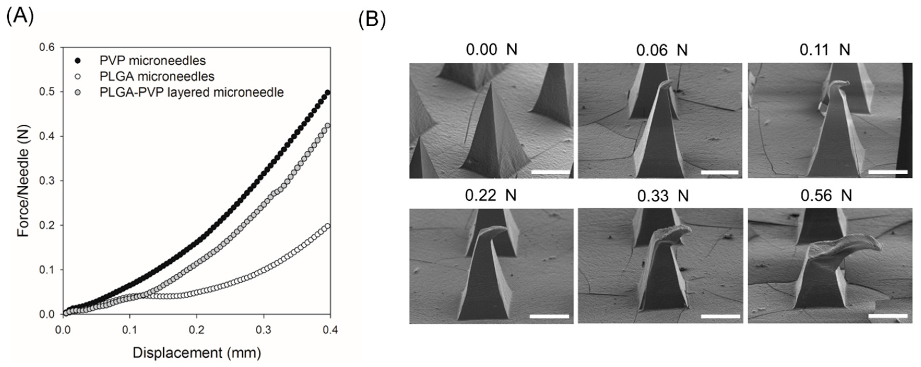 Polymers 11 00369 g004