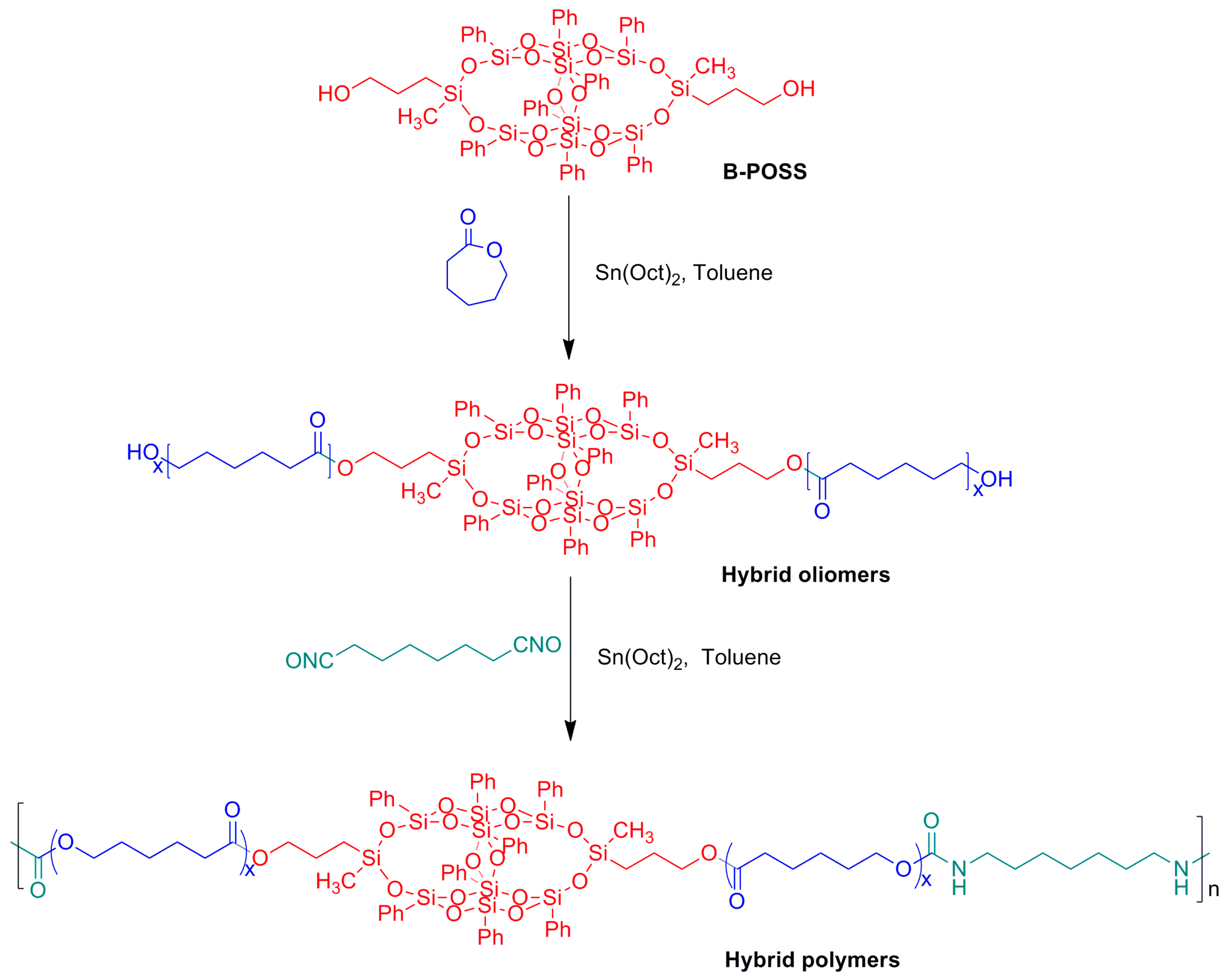Polymers 11 00373 g001