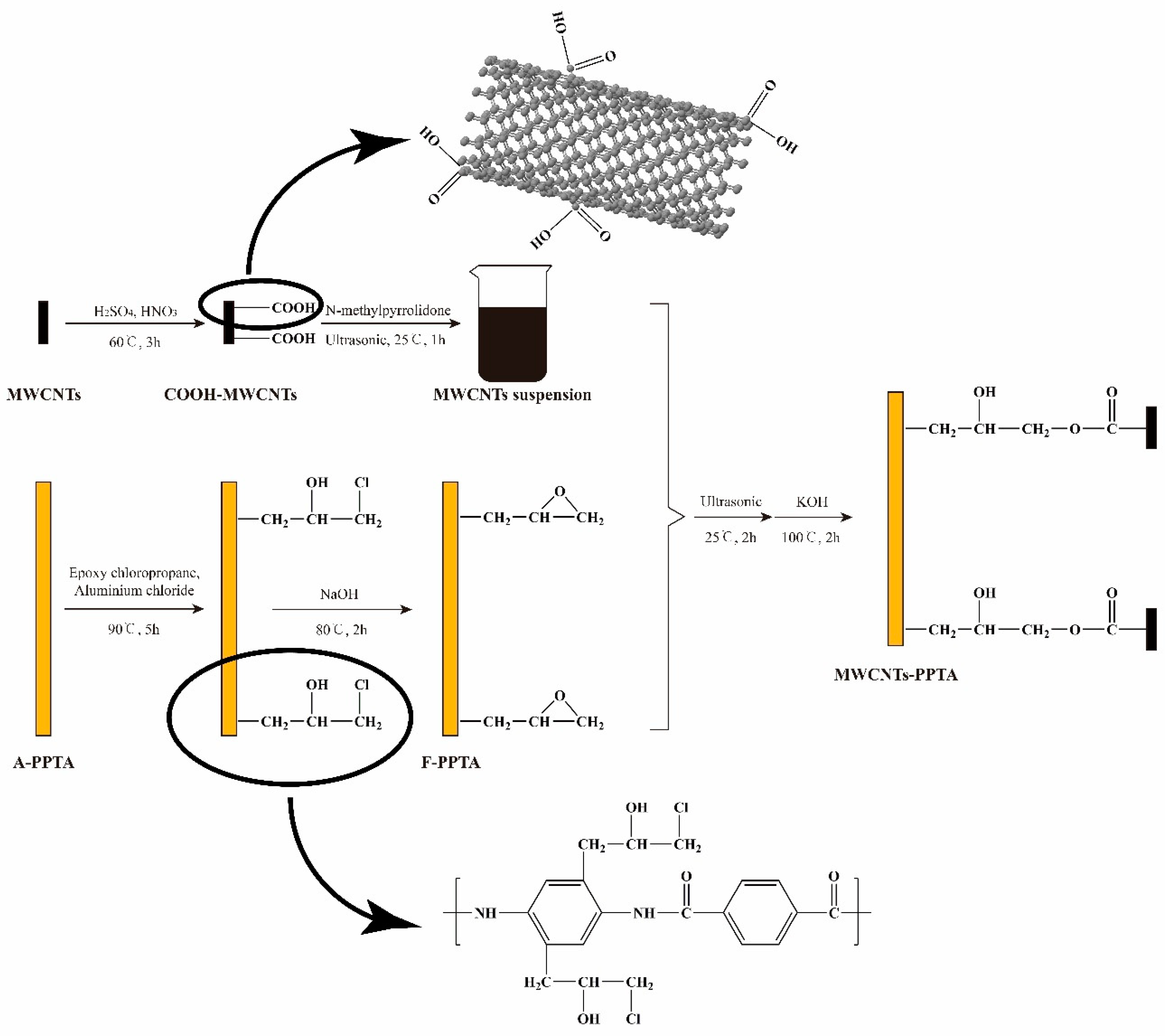 Polymers 11 00374 g002