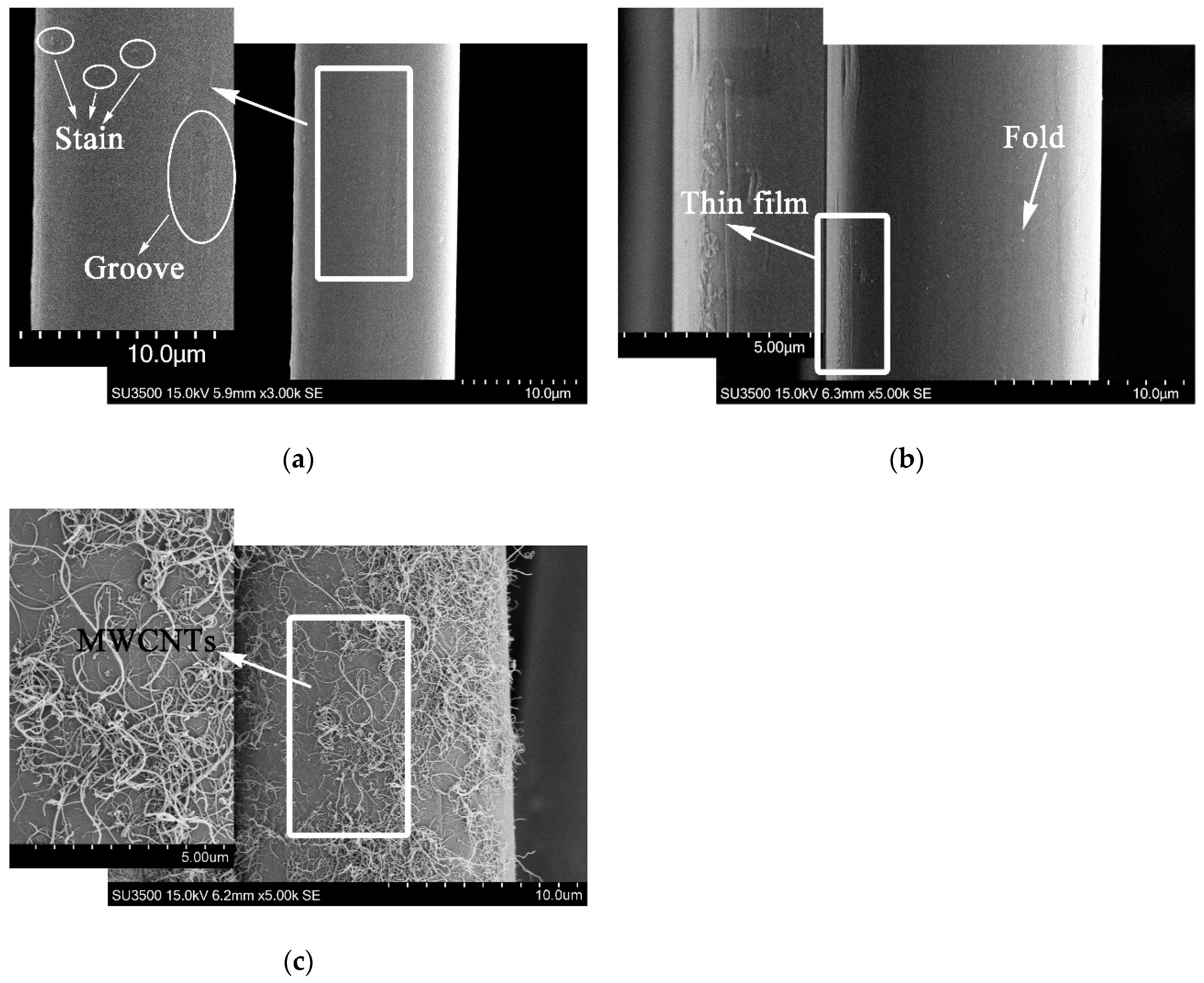 Polymers 11 00374 g003