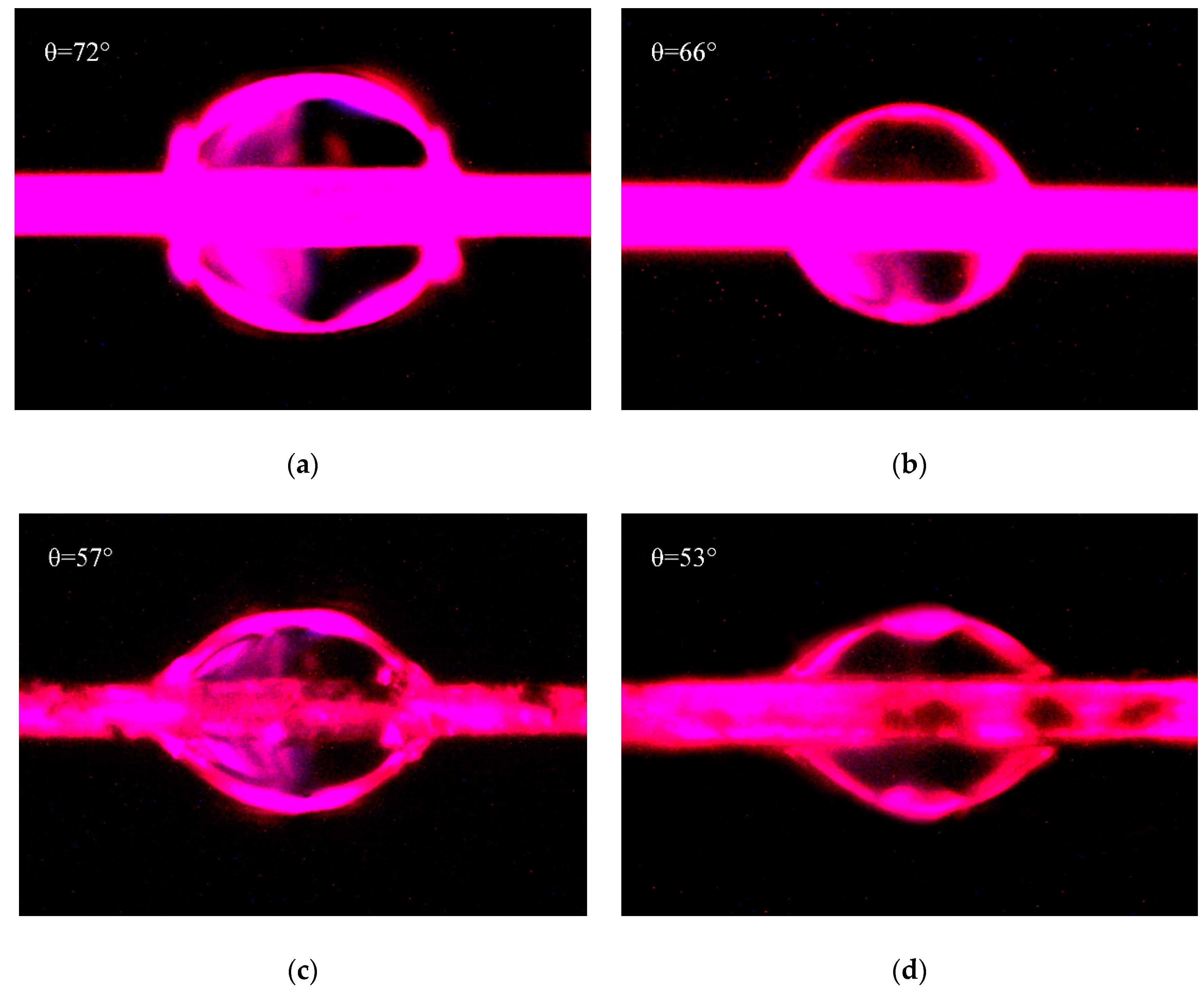 Polymers 11 00374 g008