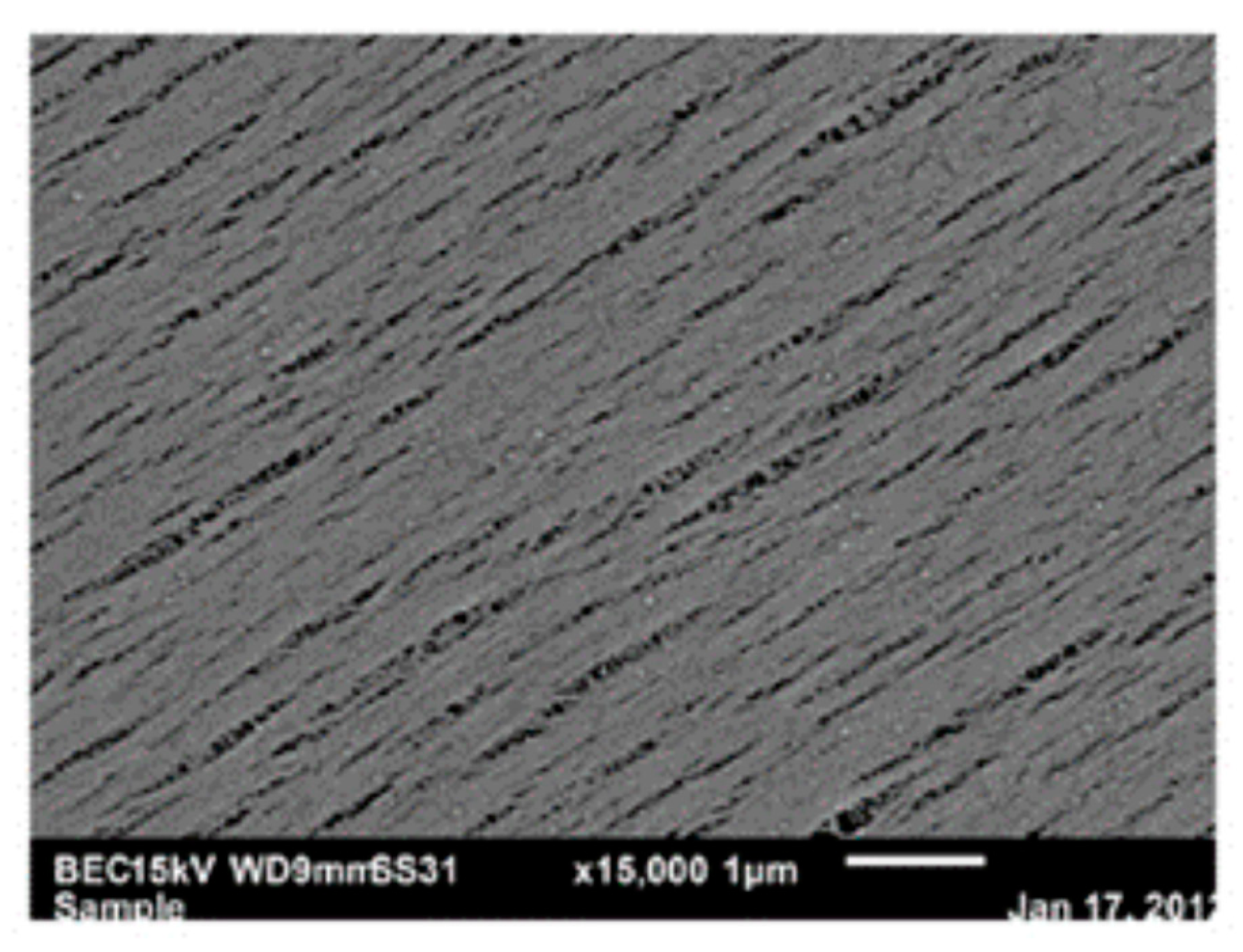 Polymers 11 00389 g003