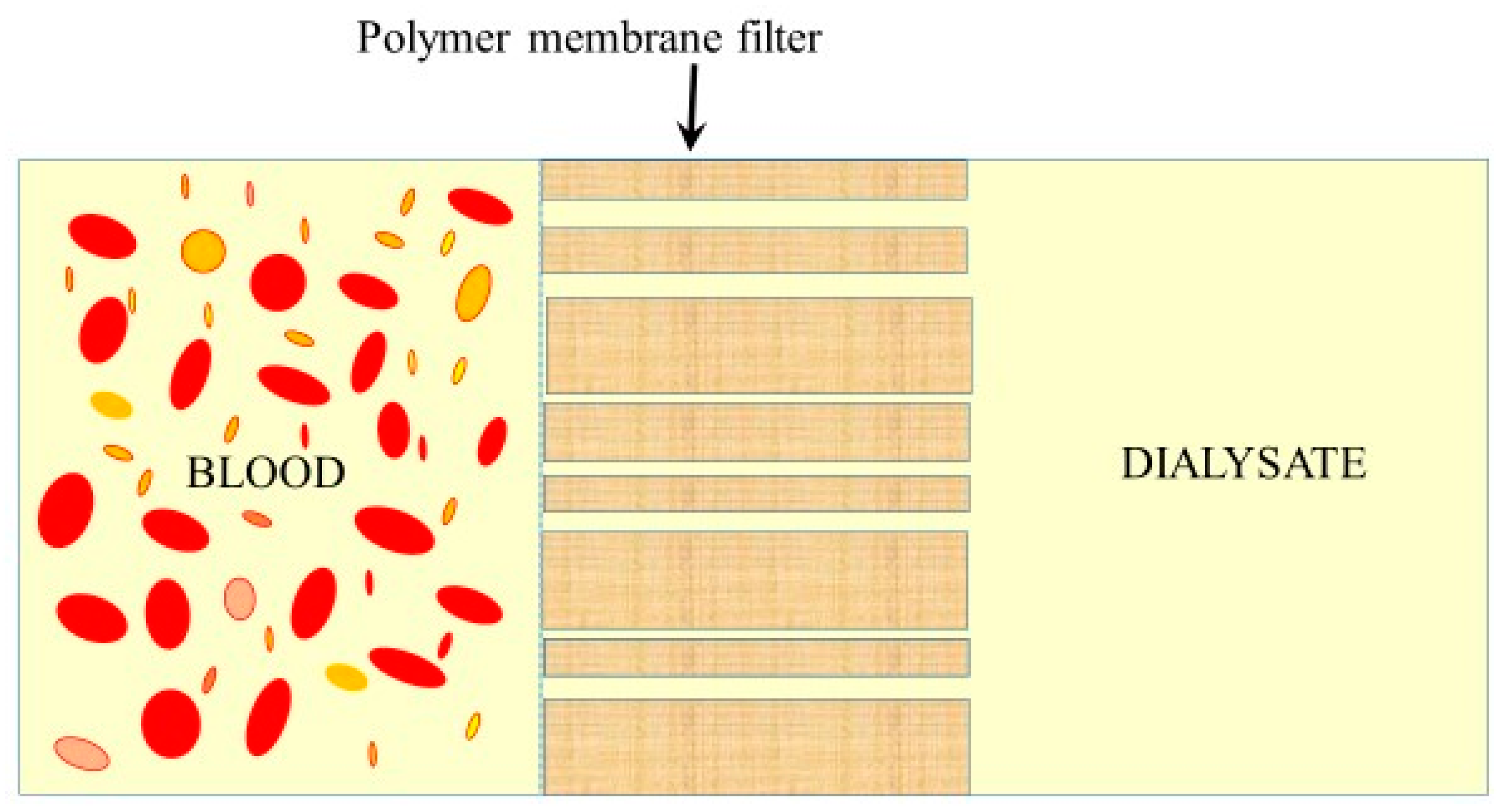 Polymers 11 00389 g004