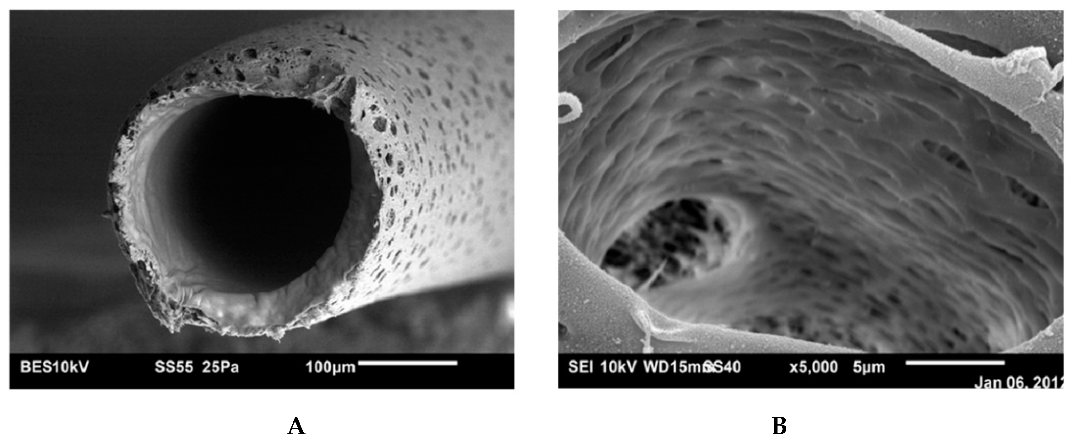 Polymers 11 00389 g005