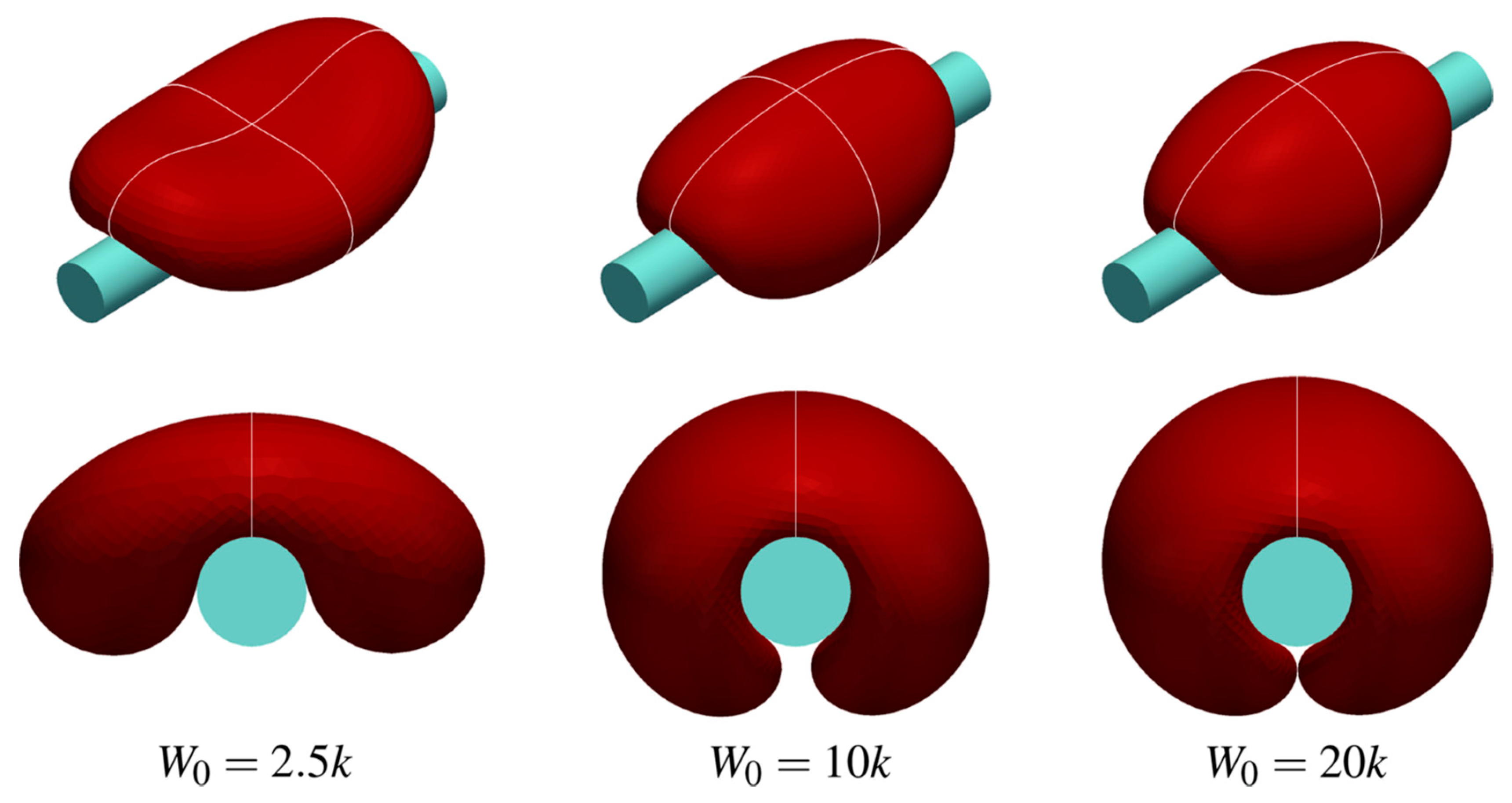 Polymers 11 00389 g012