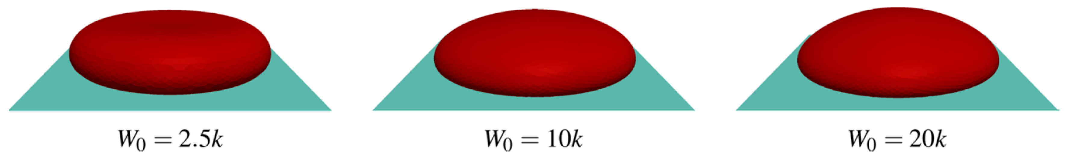 Polymers 11 00389 g013