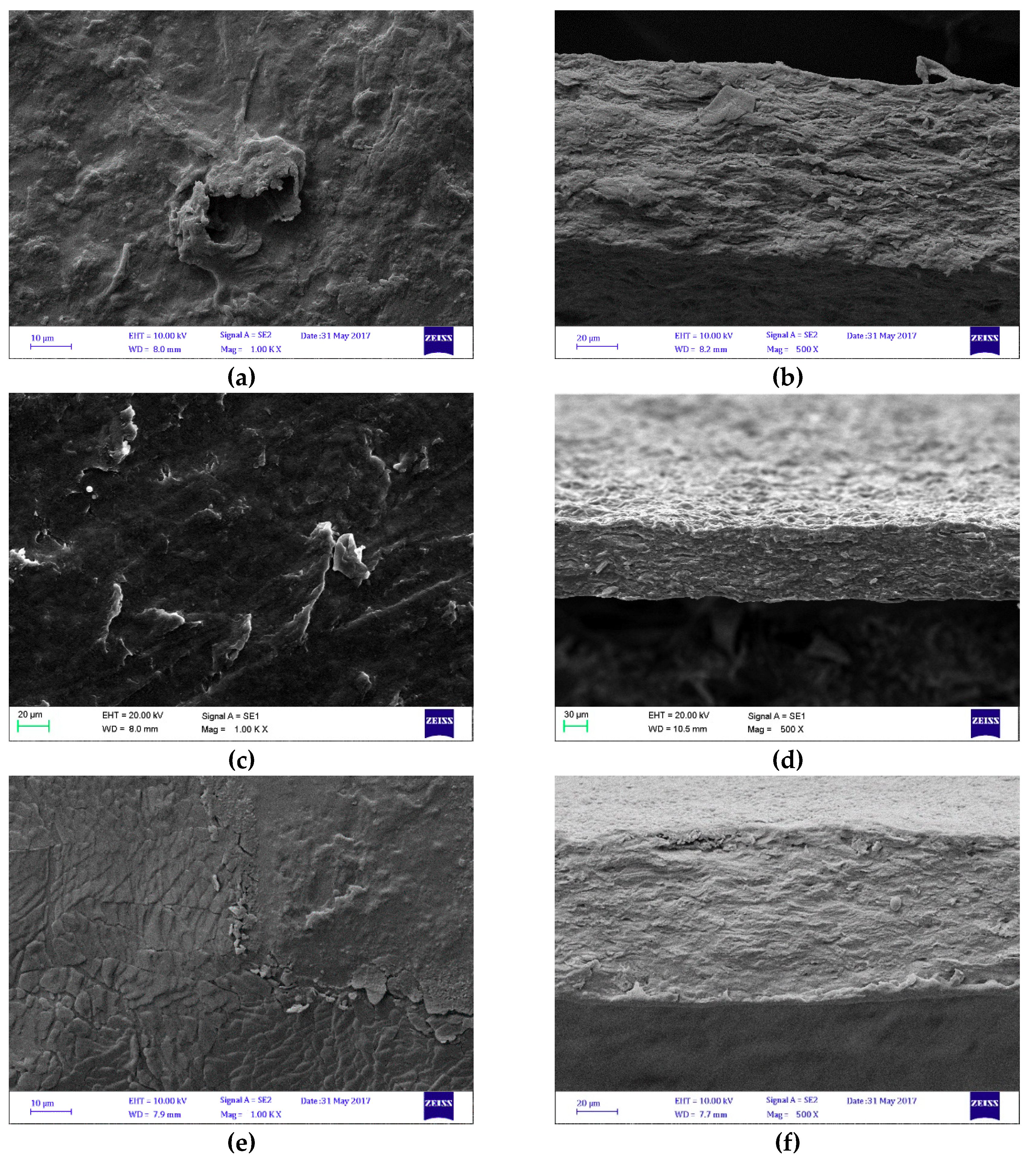Polymers 11 00392 g002