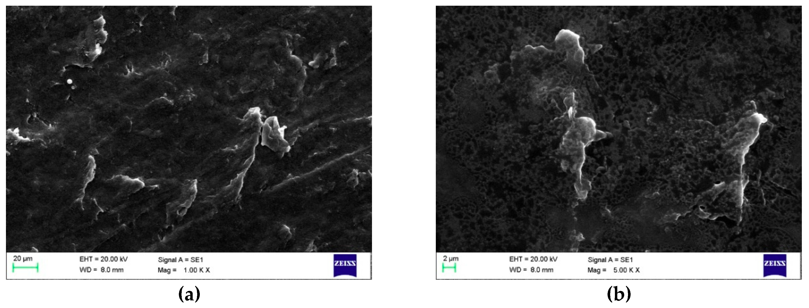 Polymers 11 00392 g005a