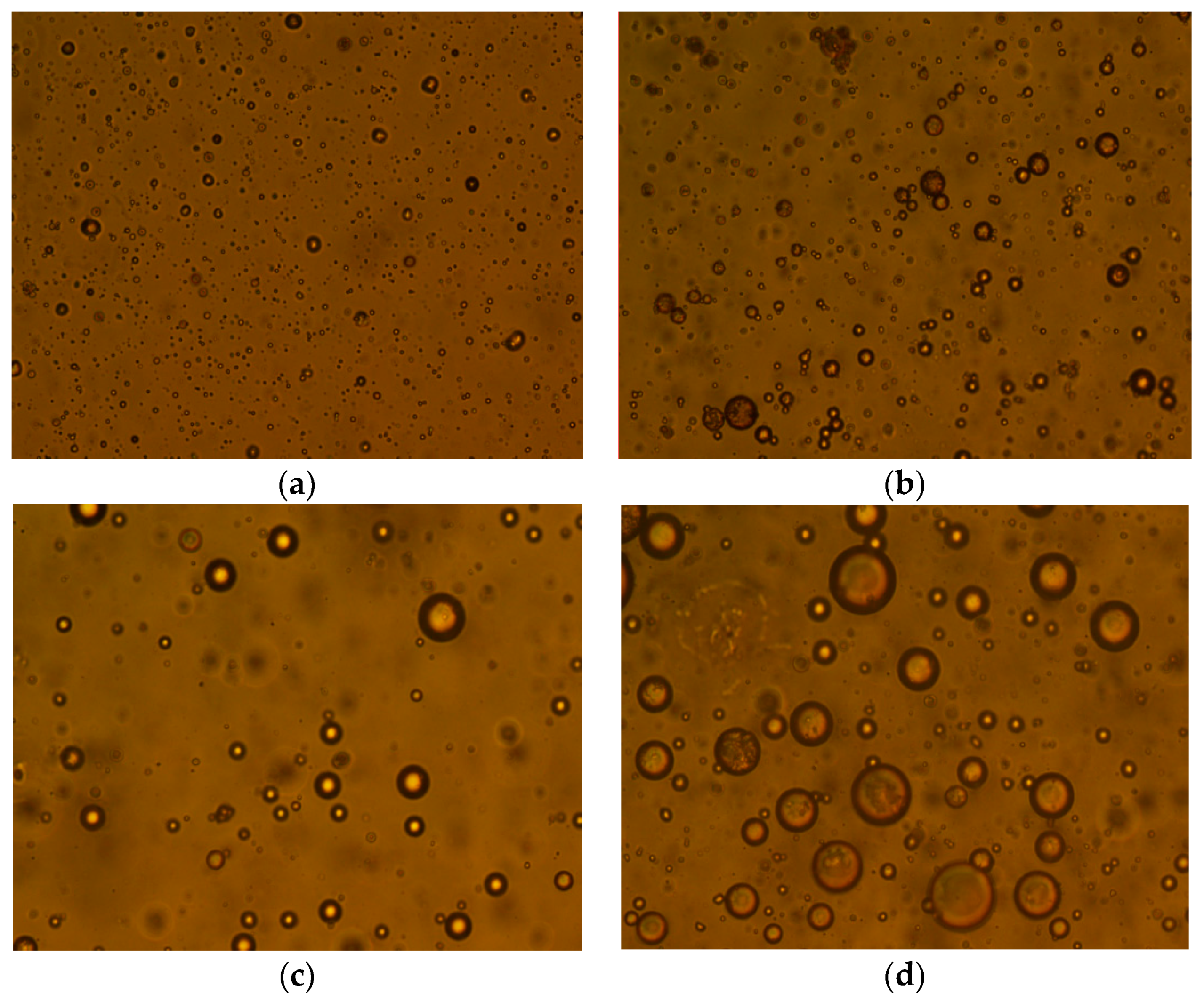 Polymers 11 00395 g004