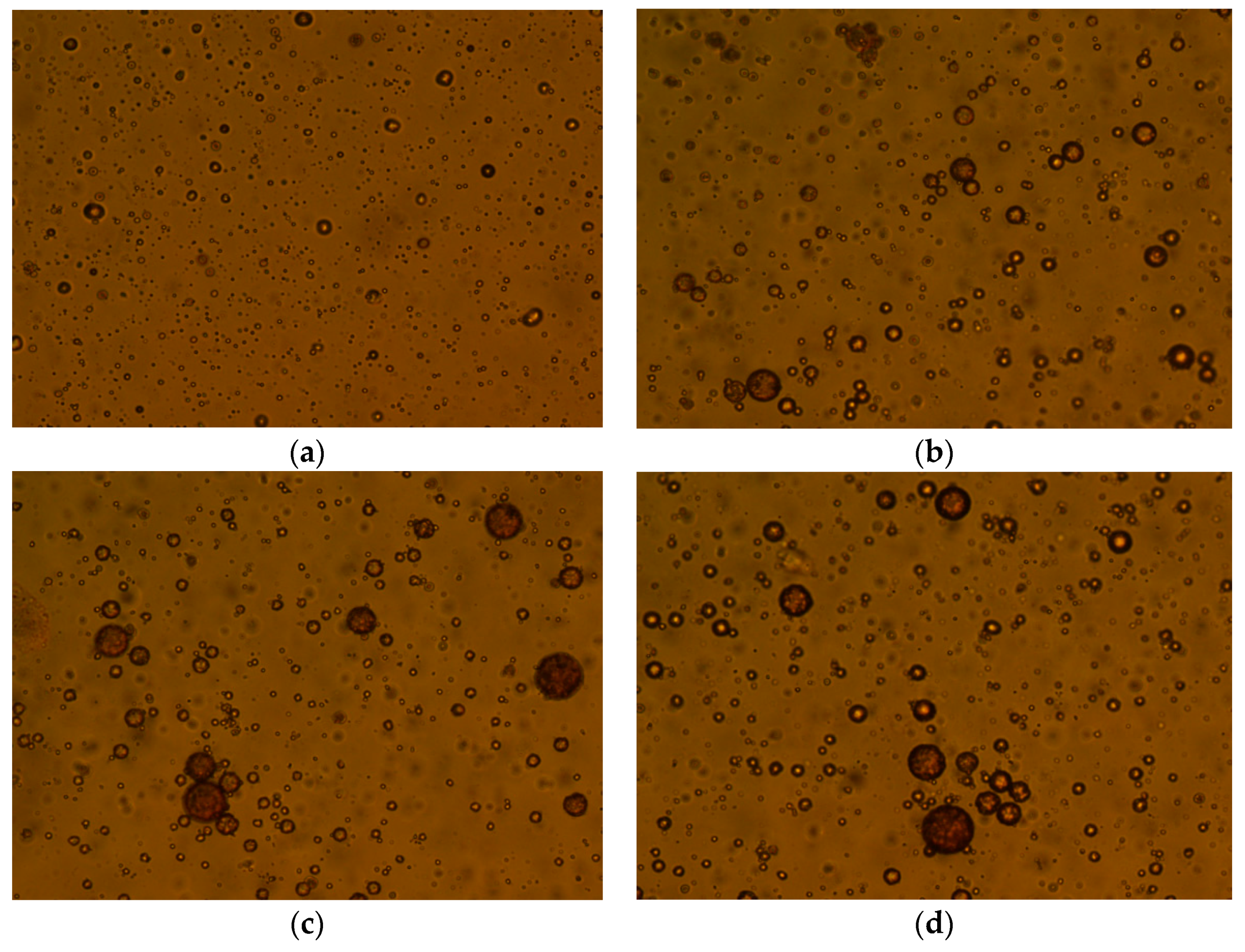 Polymers 11 00395 g008