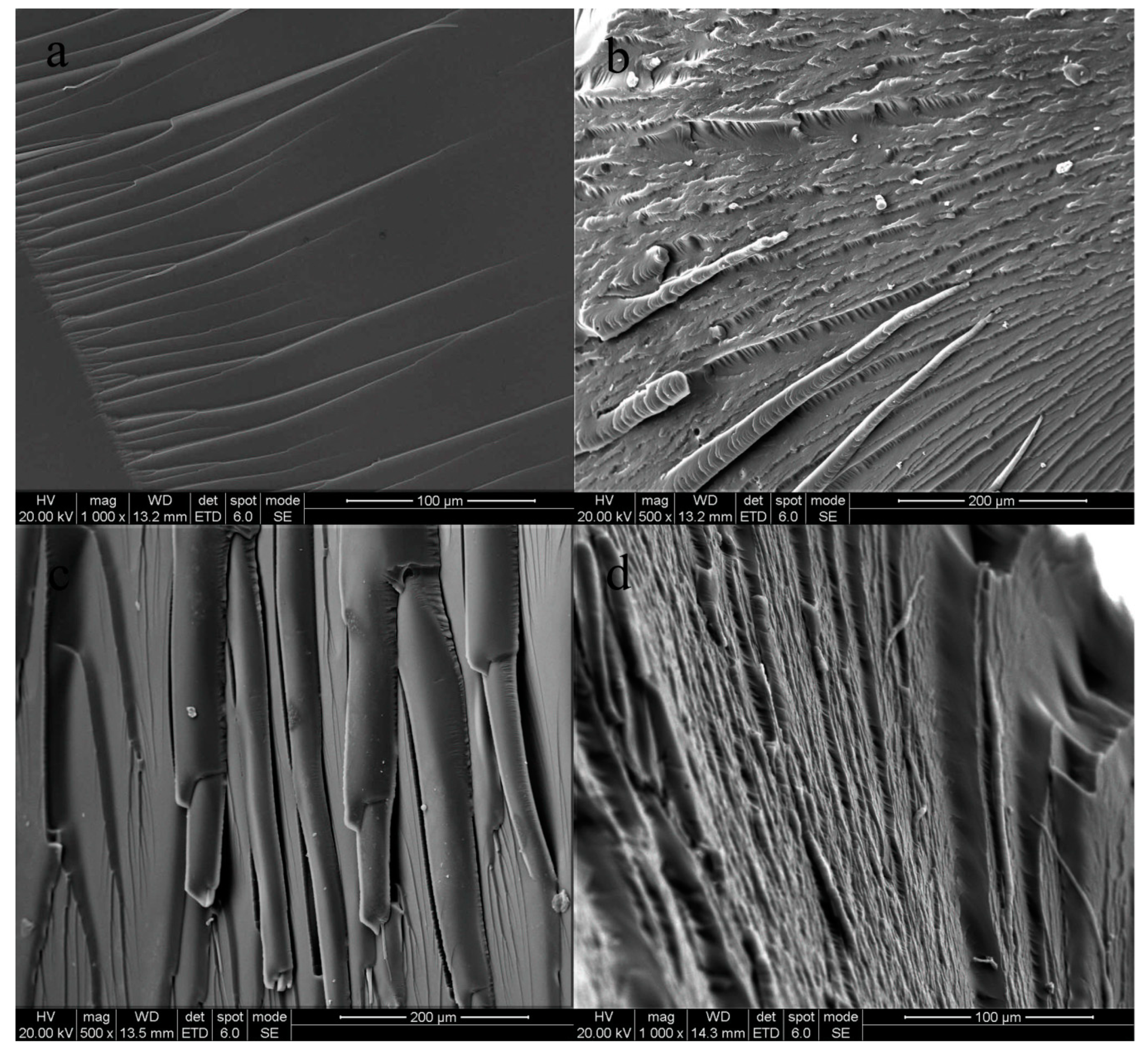 Polymers 11 00416 g004 Polymers 11 00416 g004