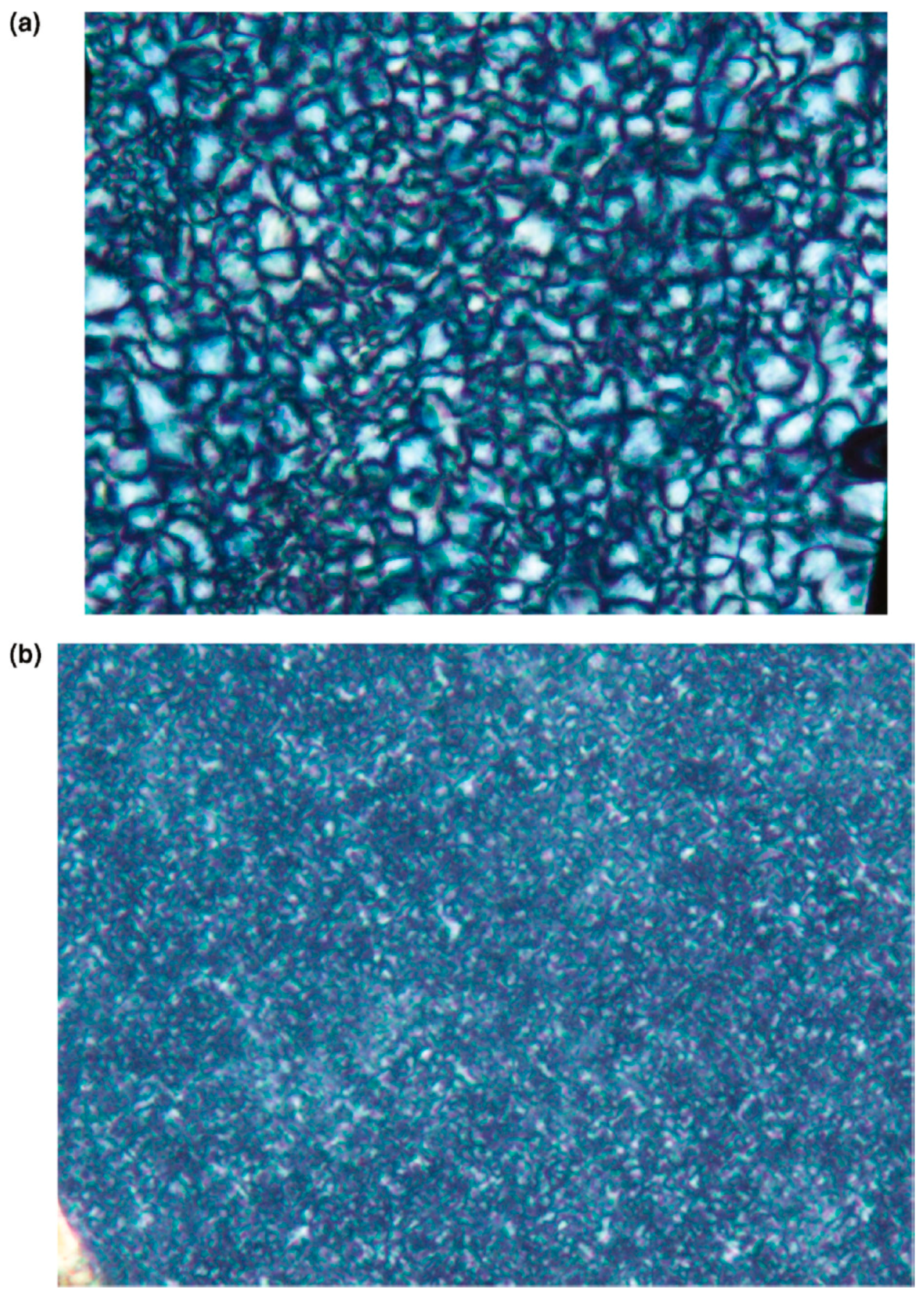 Polymers 11 00425 g006