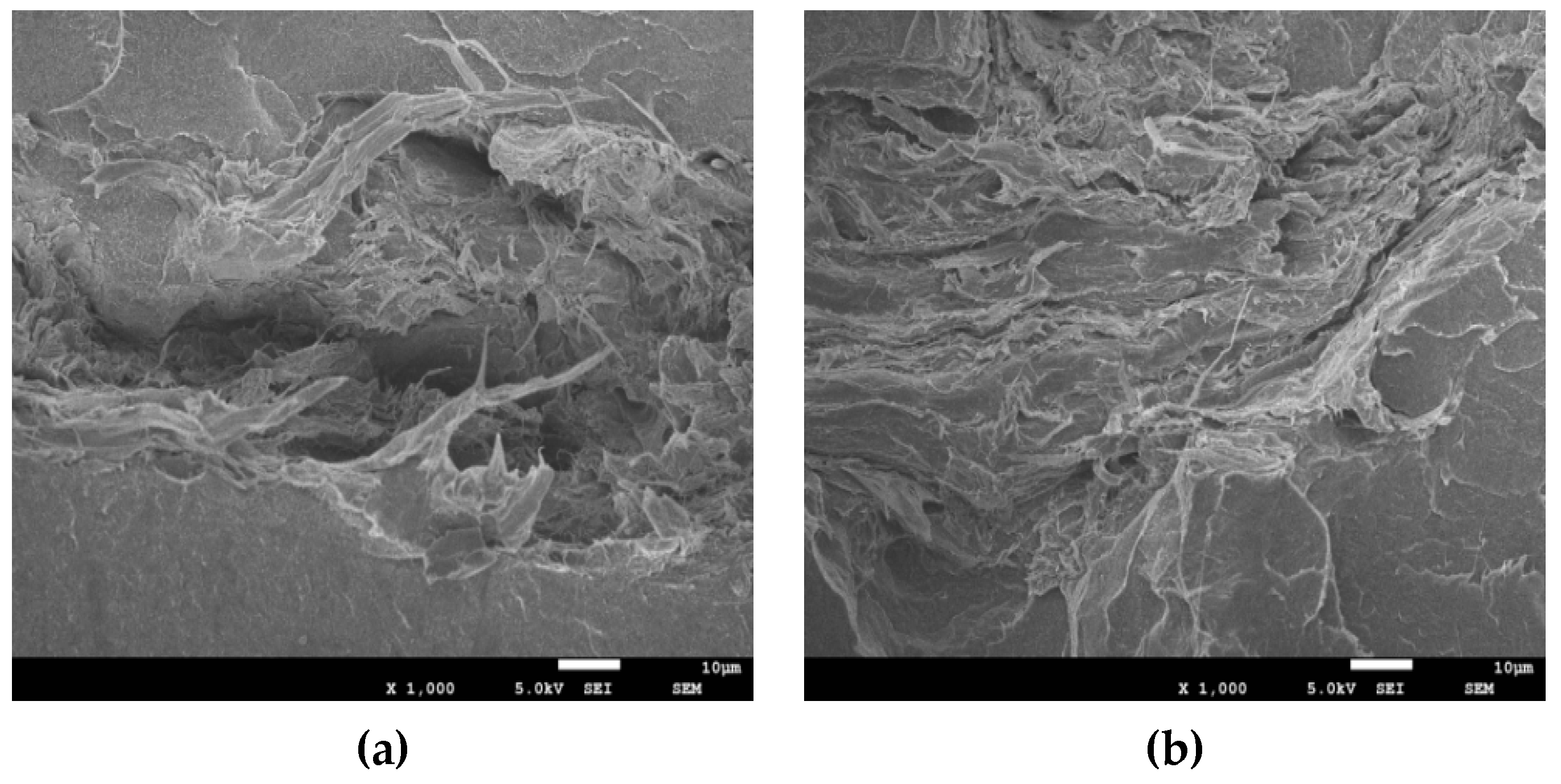 Polymers 11 00441 g008a Polymers 11 00441 g008a