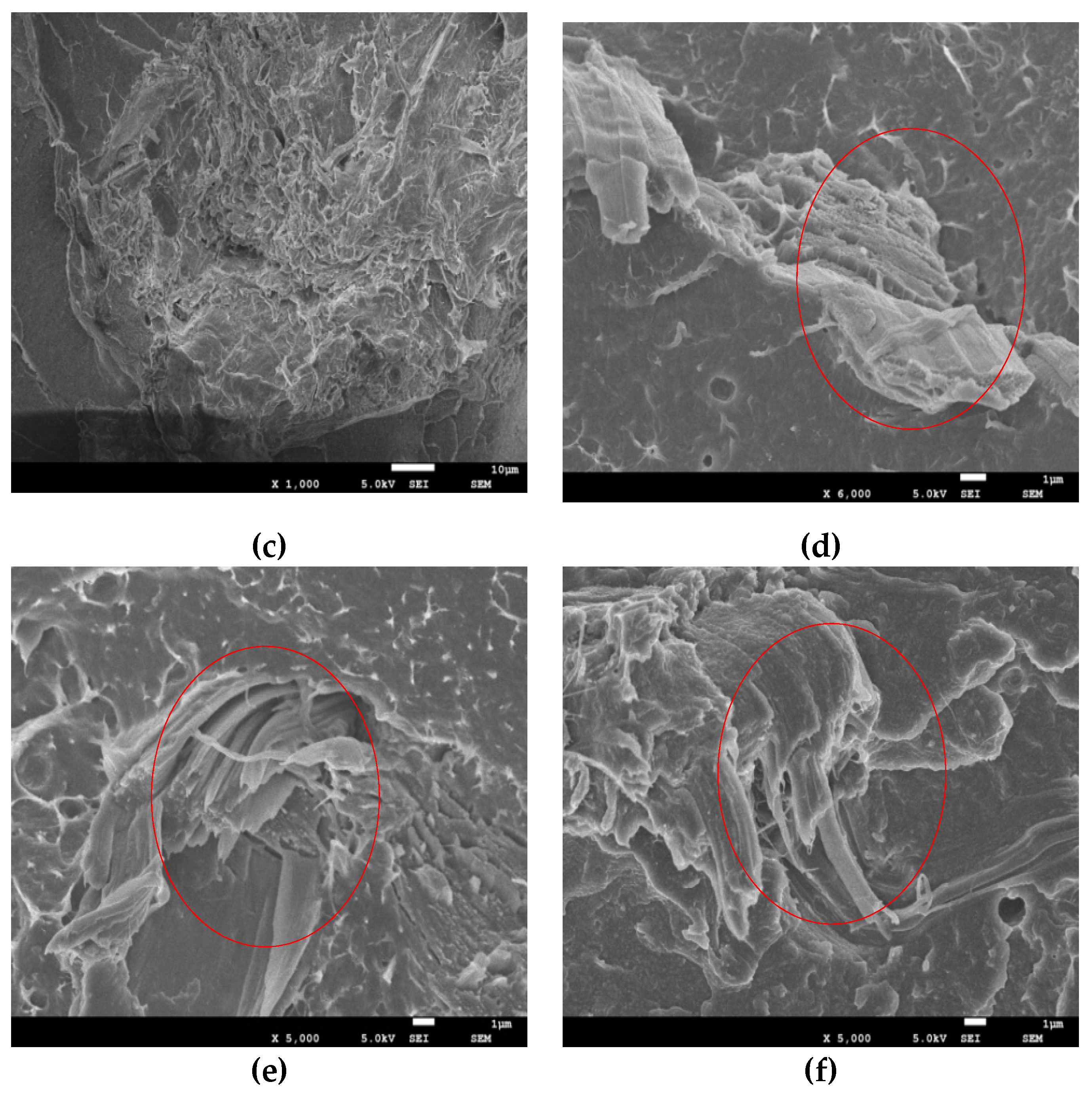 Polymers 11 00441 g008b Polymers 11 00441 g008b