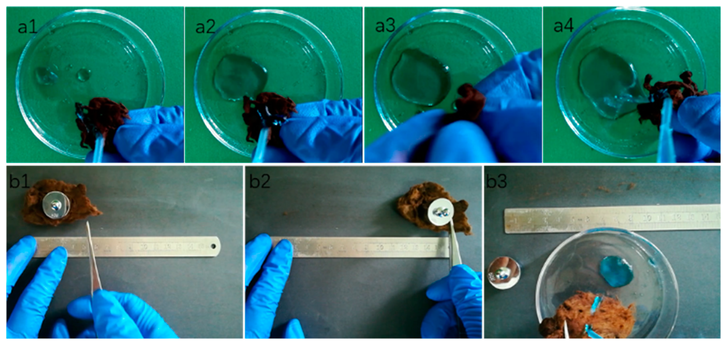 Polymers 11 00442 g009