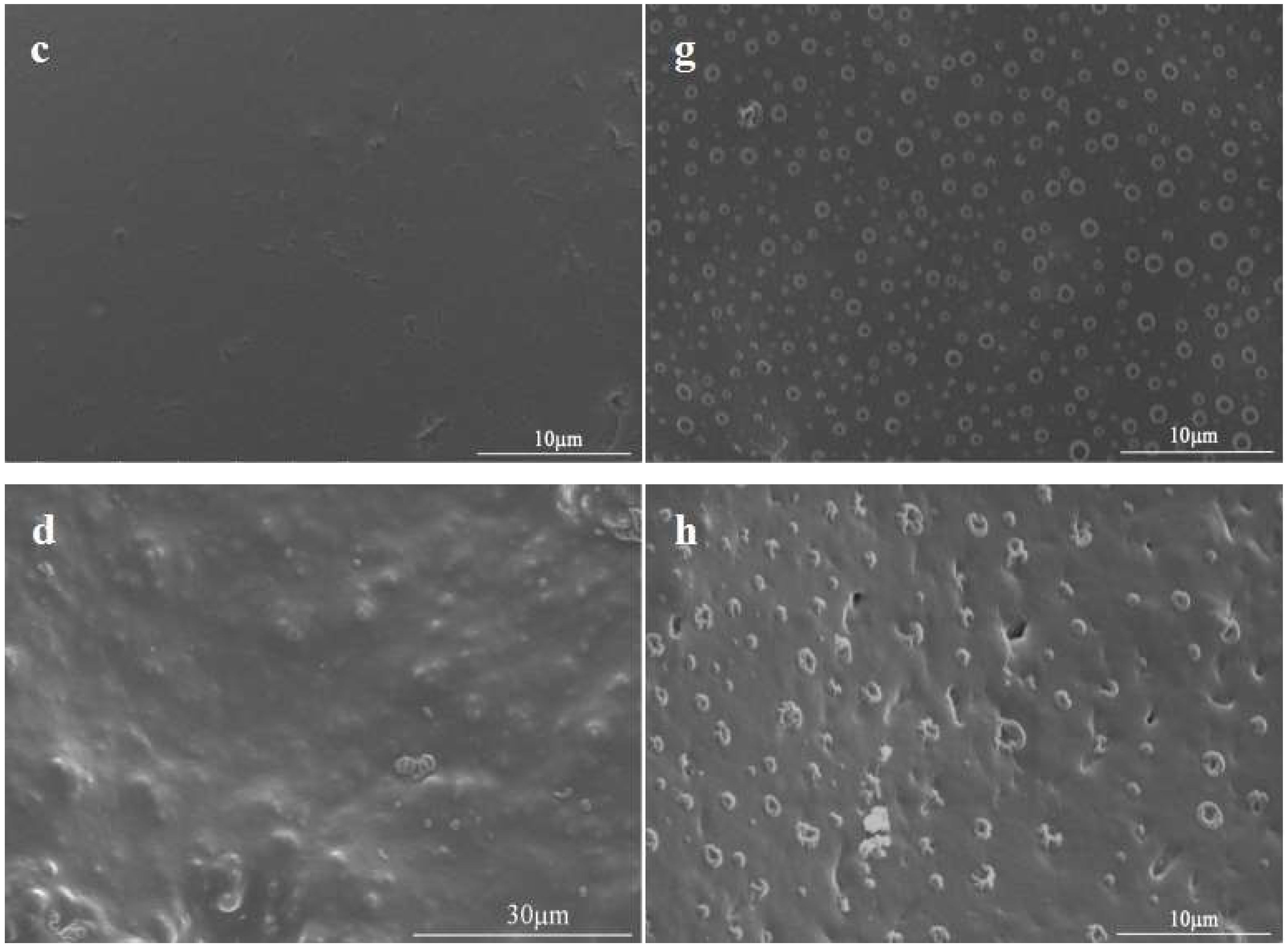 Polymers 11 00454 g012b Polymers 11 00454 g012b