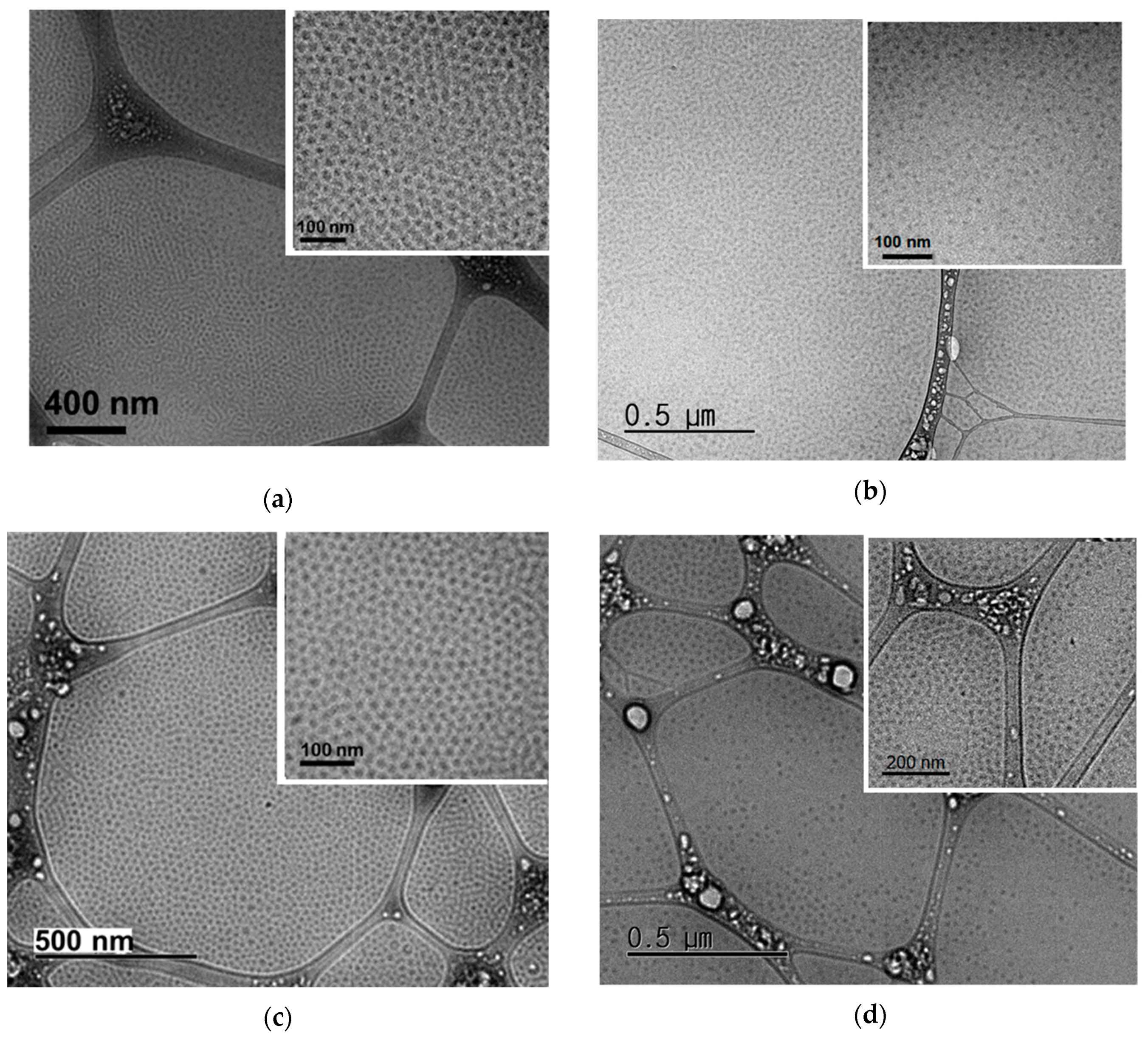 Polymers 11 00455 g004 Polymers 11 00455 g004