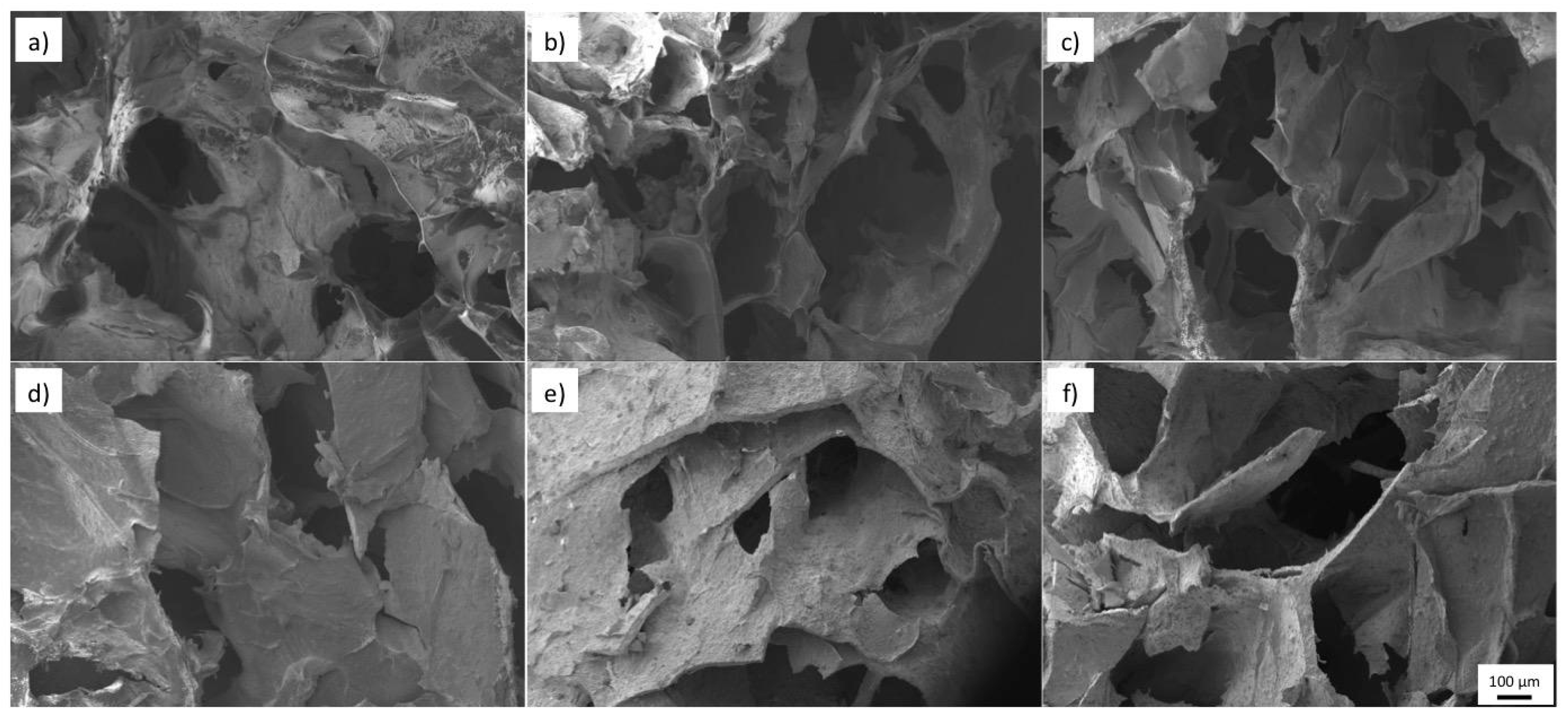 Polymers 11 00457 g005