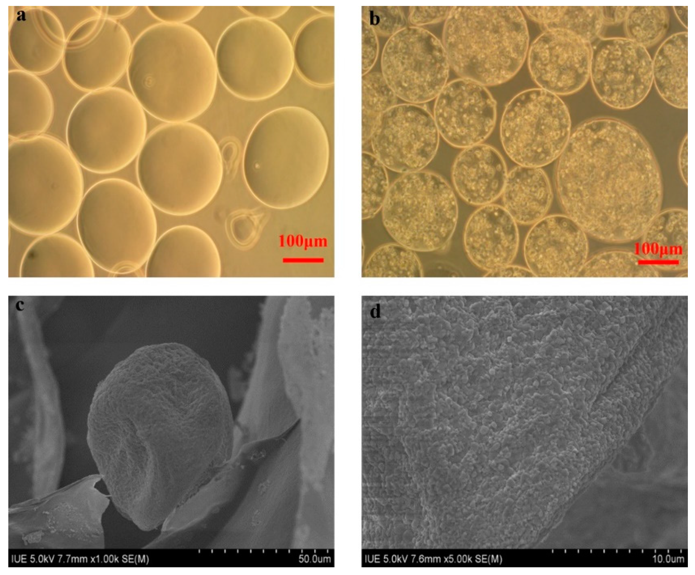 Polymers 11 00471 g002