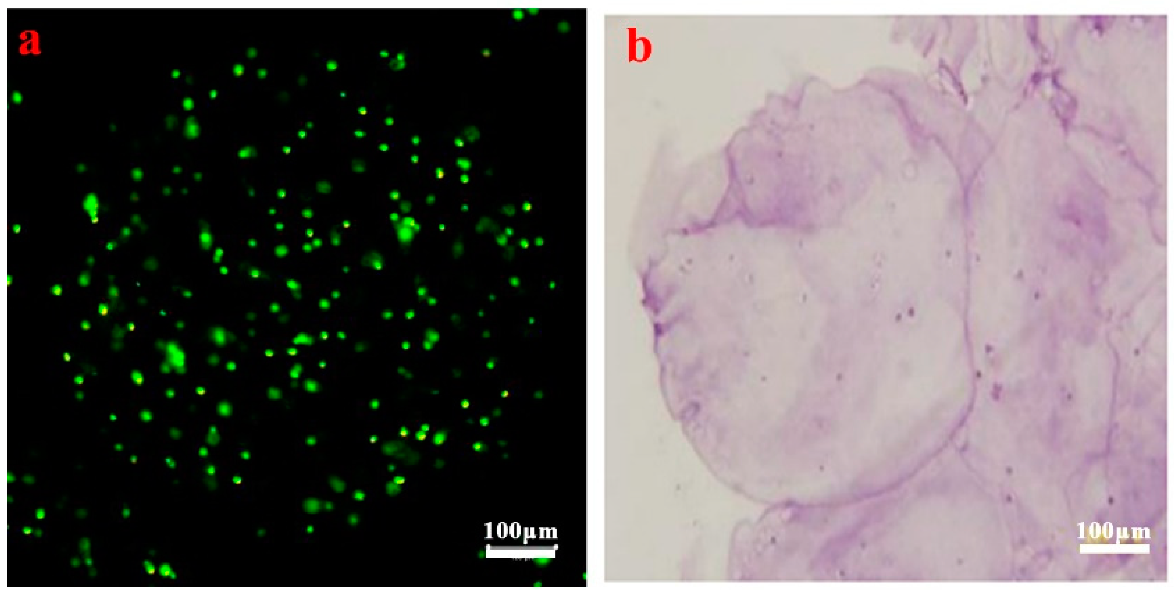 Polymers 11 00471 g003