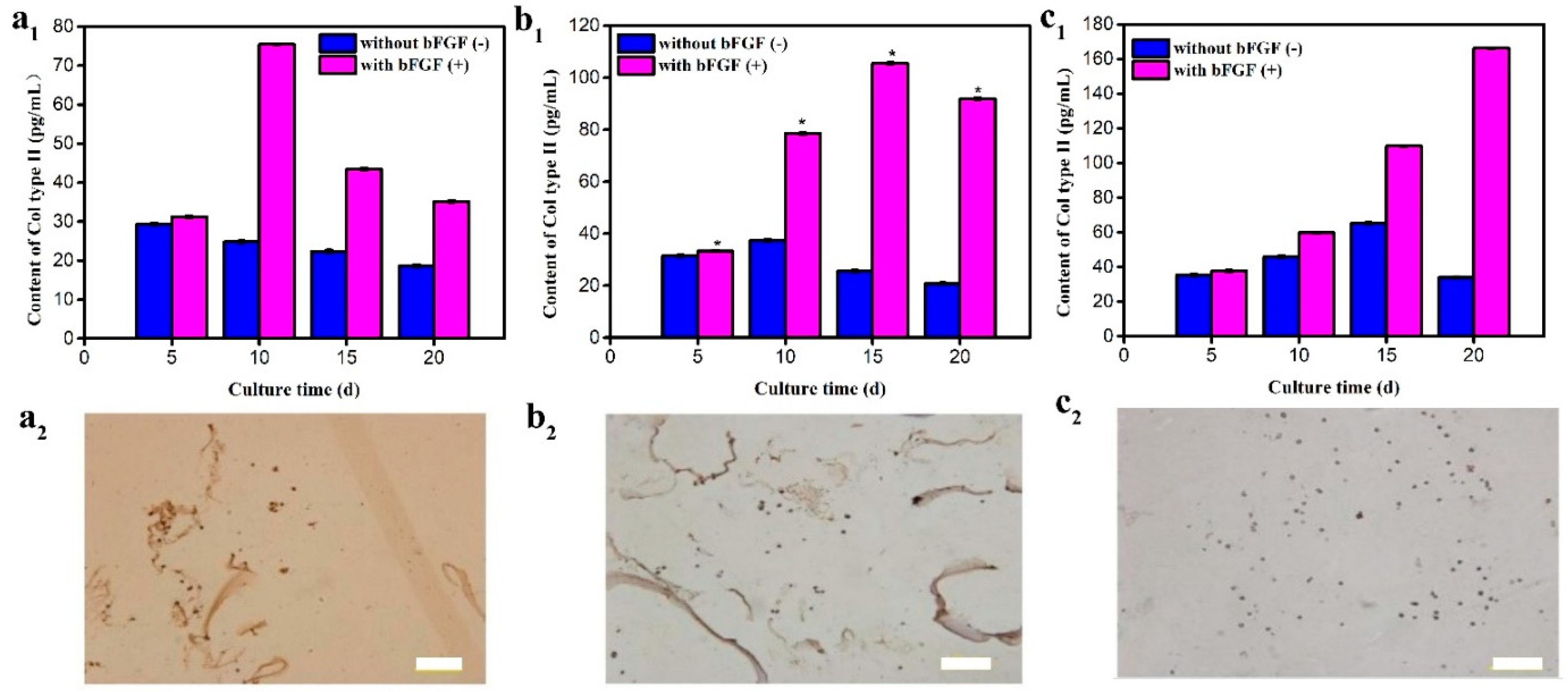 Polymers 11 00471 g006