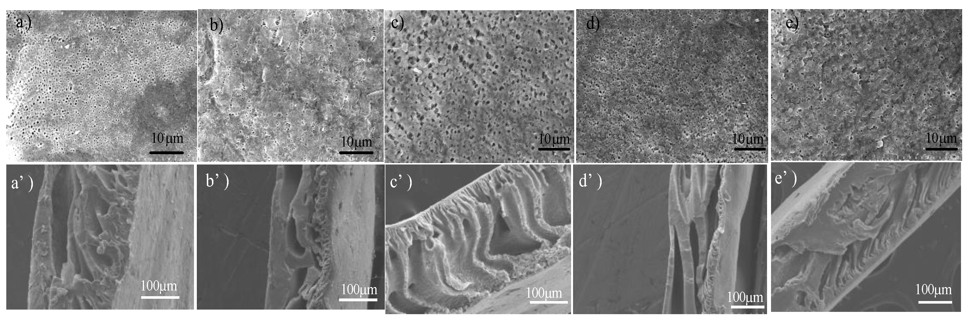 Polymers 11 00473 g007