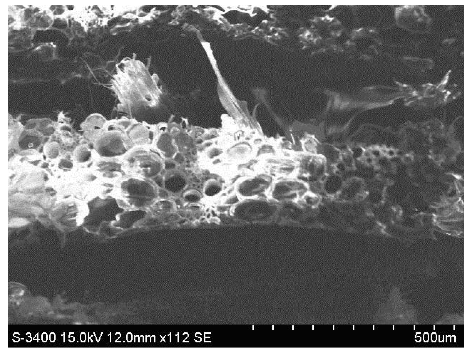Polymers 11 00478 g015 Polymers 11 00478 g015