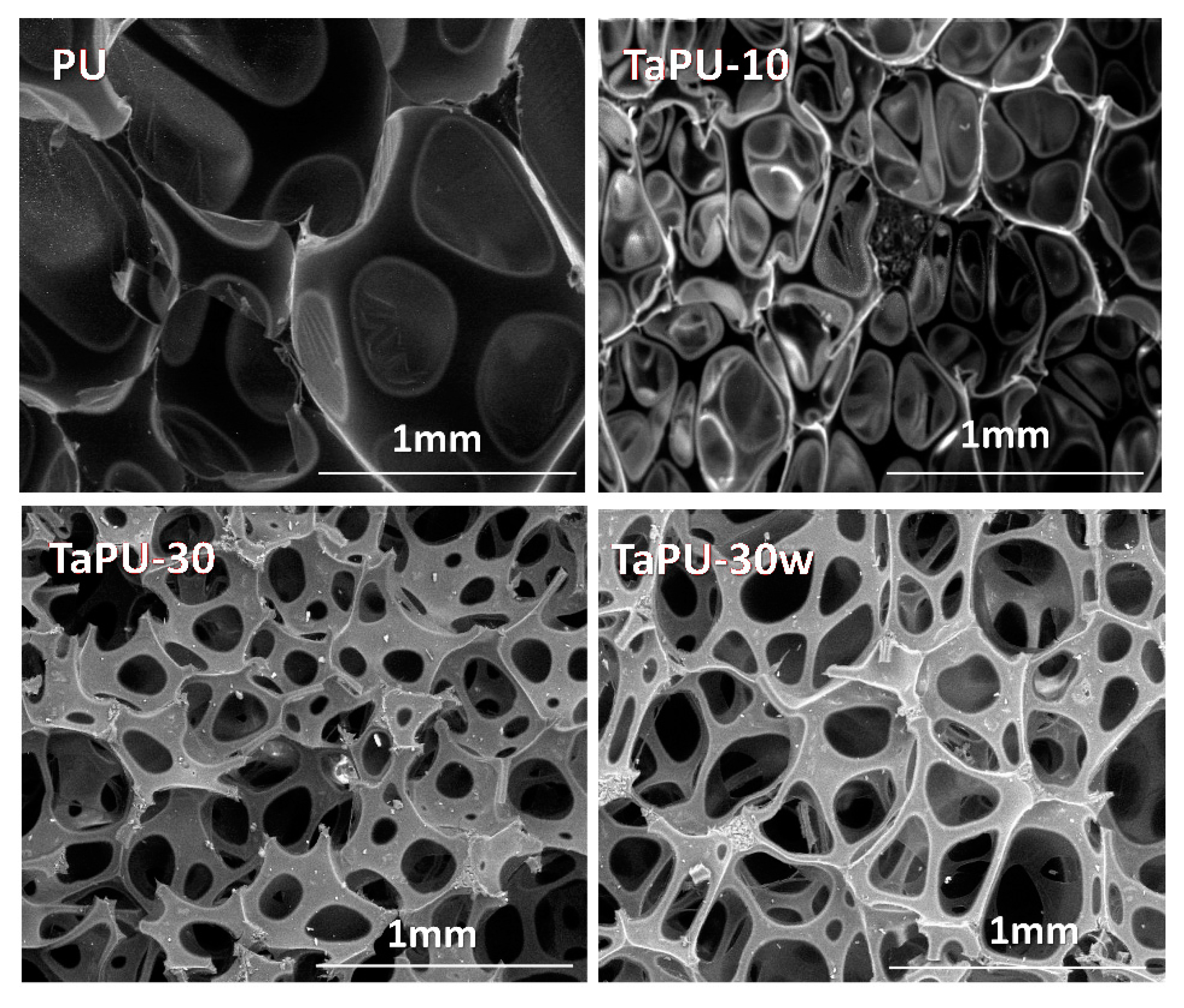 Polymers 11 00480 g004 Polymers 11 00480 g004