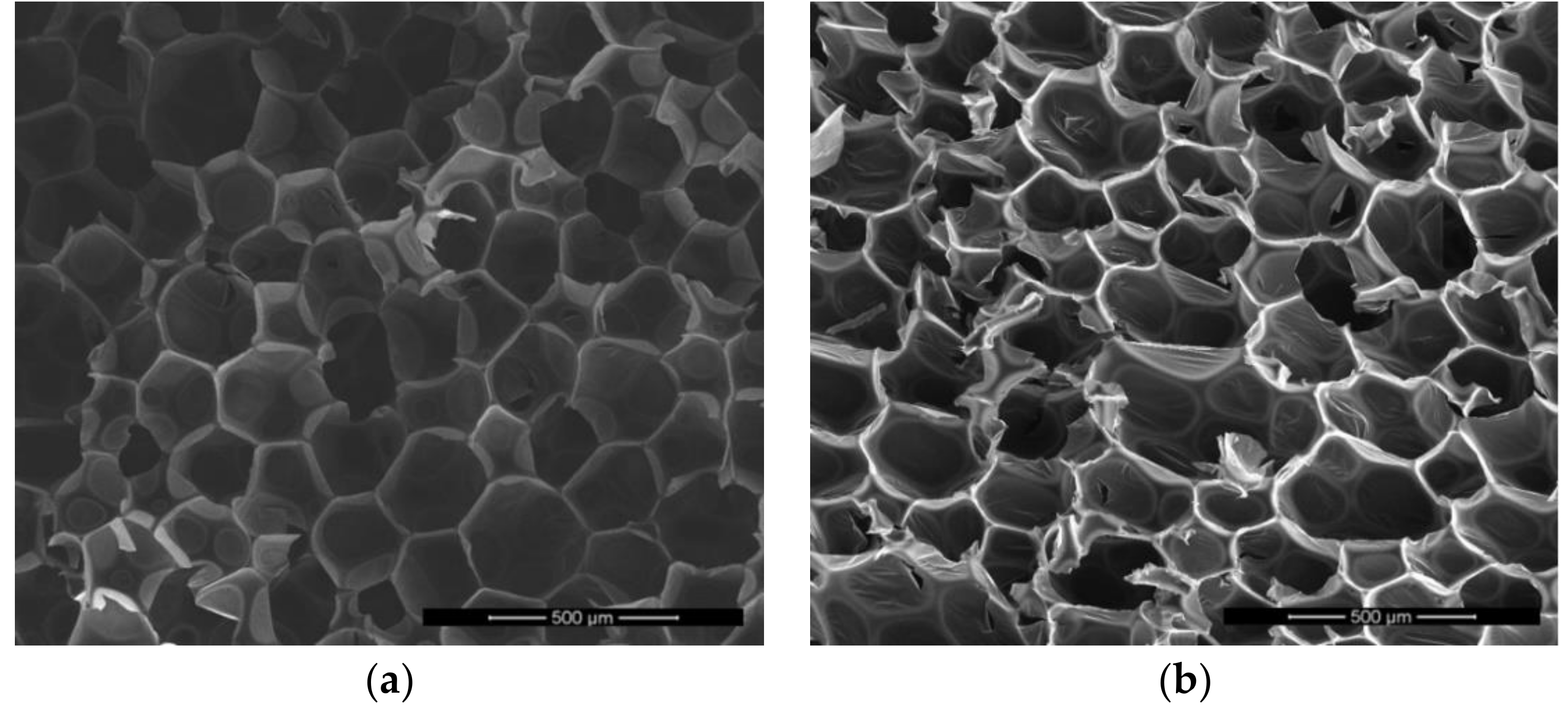 Polymers 11 00481 g008