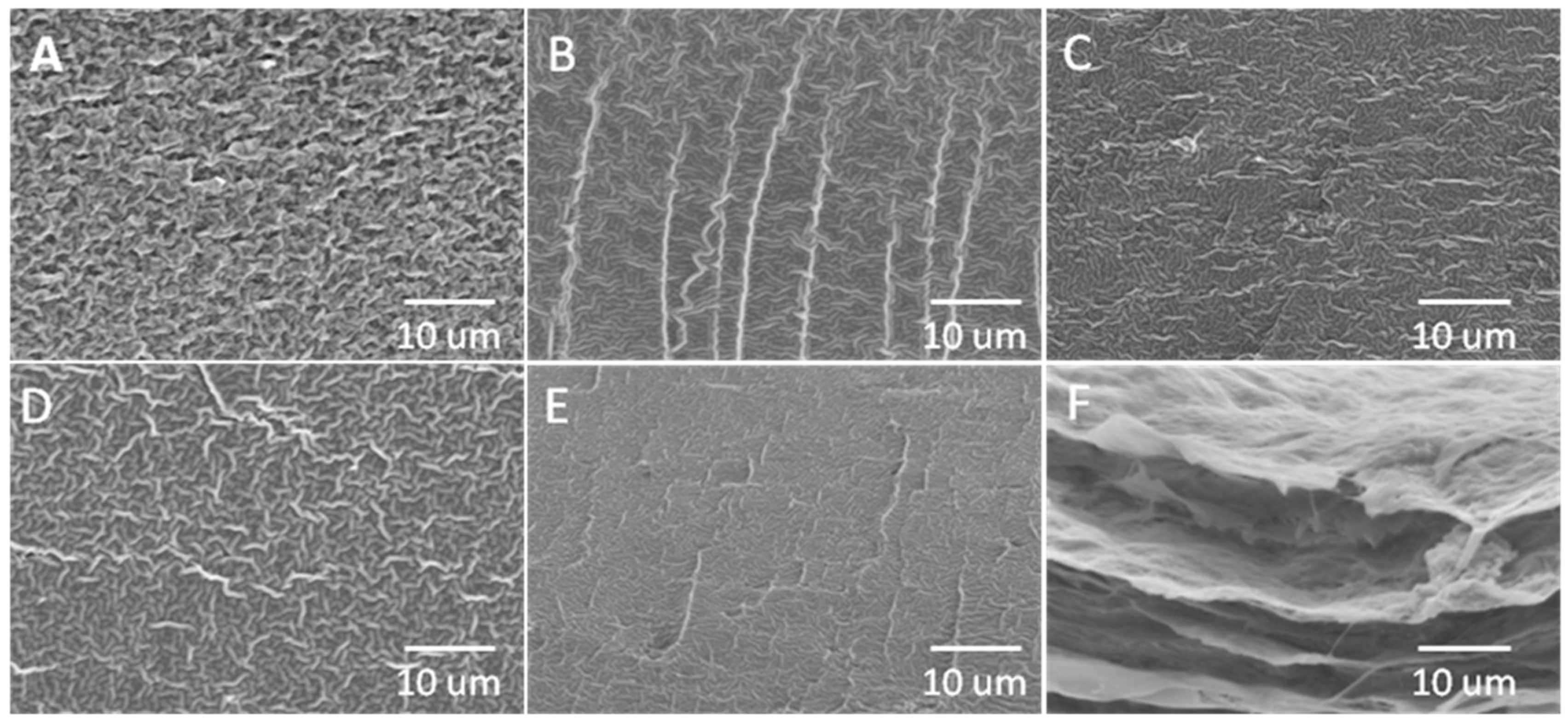 Polymers 11 00491 g002 Polymers 11 00491 g002