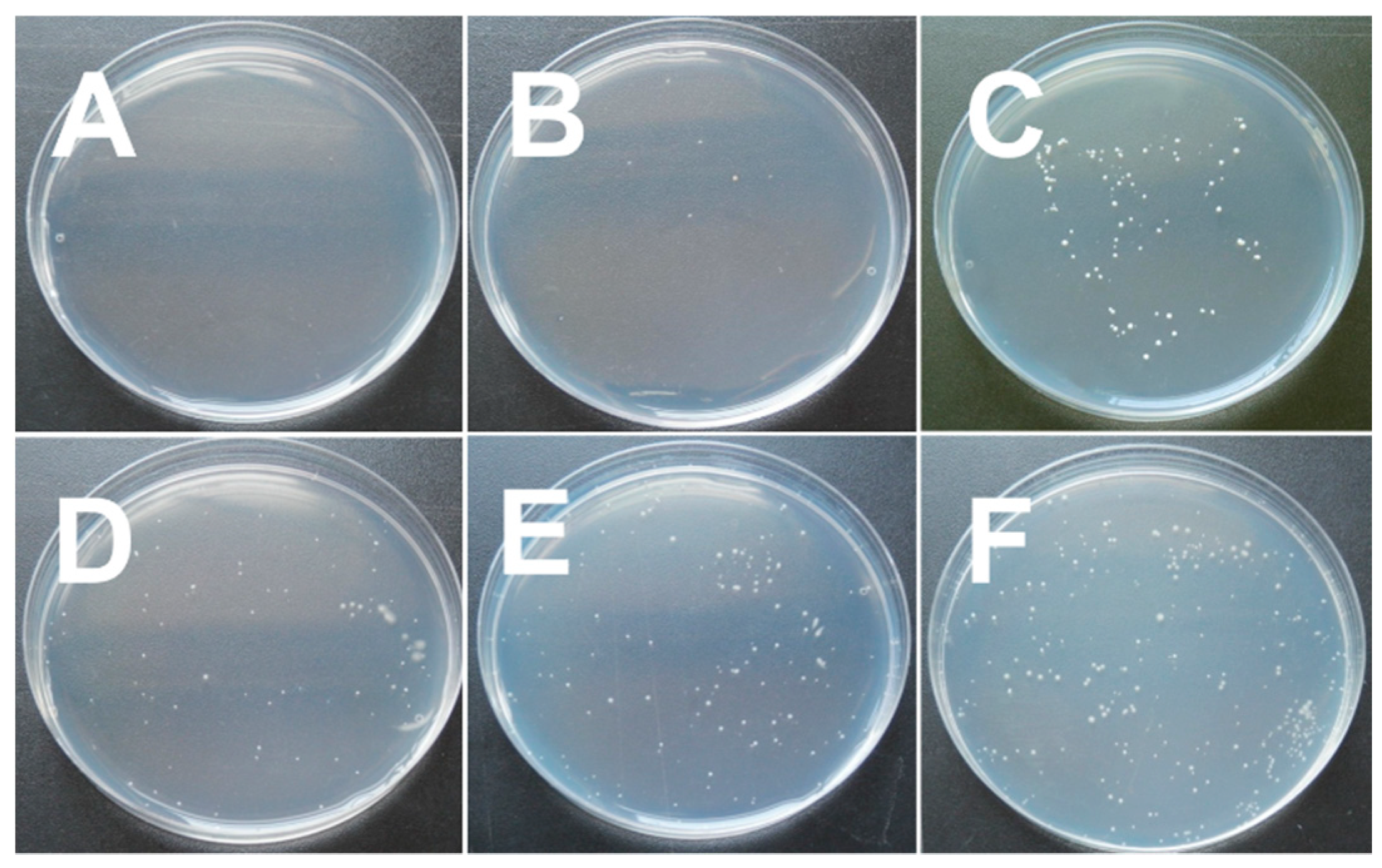 Polymers 11 00491 g005 Polymers 11 00491 g005