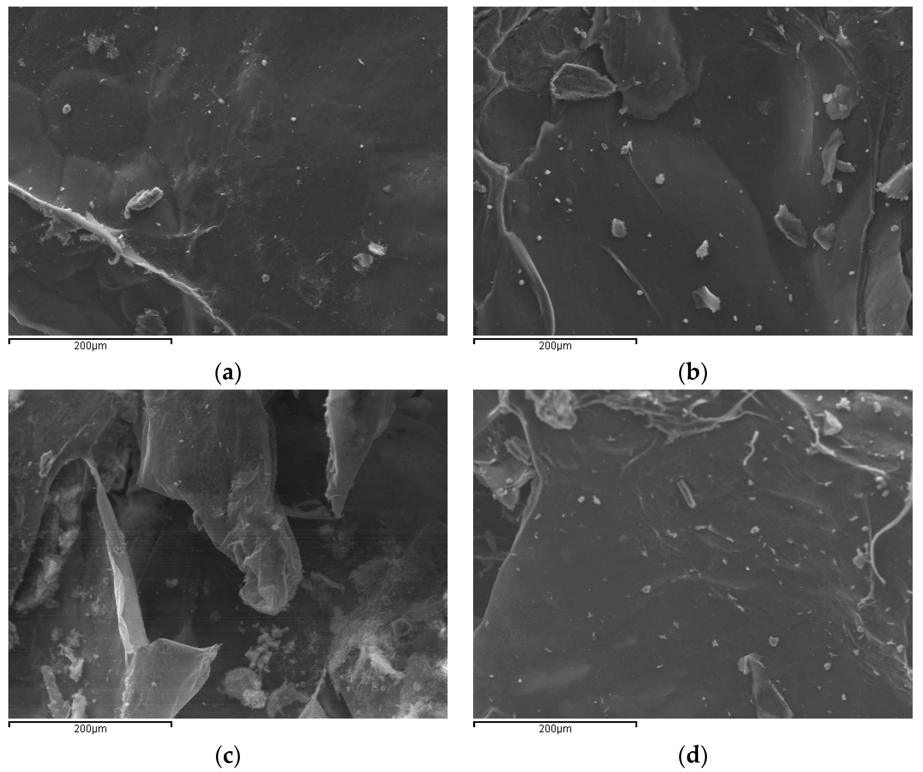 Polymers 11 00497 g006