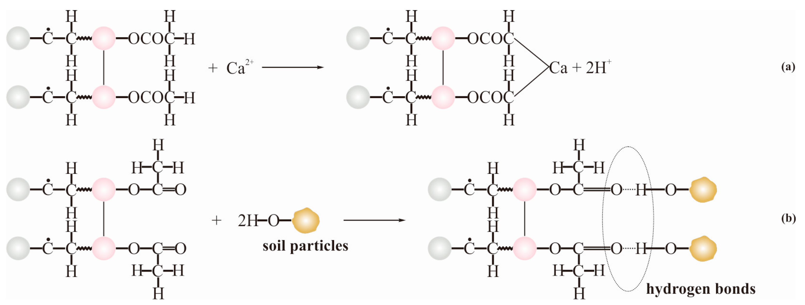 Polymers 11 00506 g007