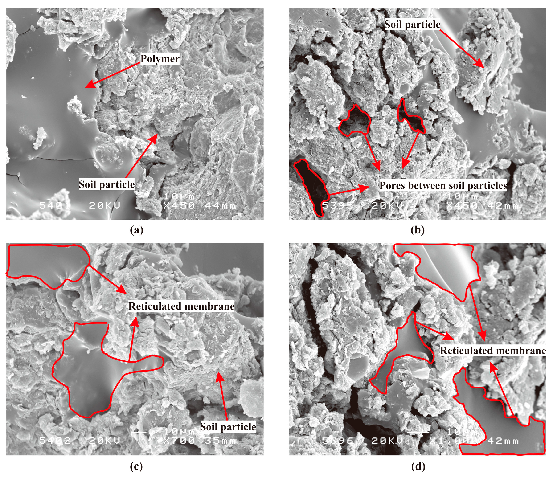 Polymers 11 00506 g008