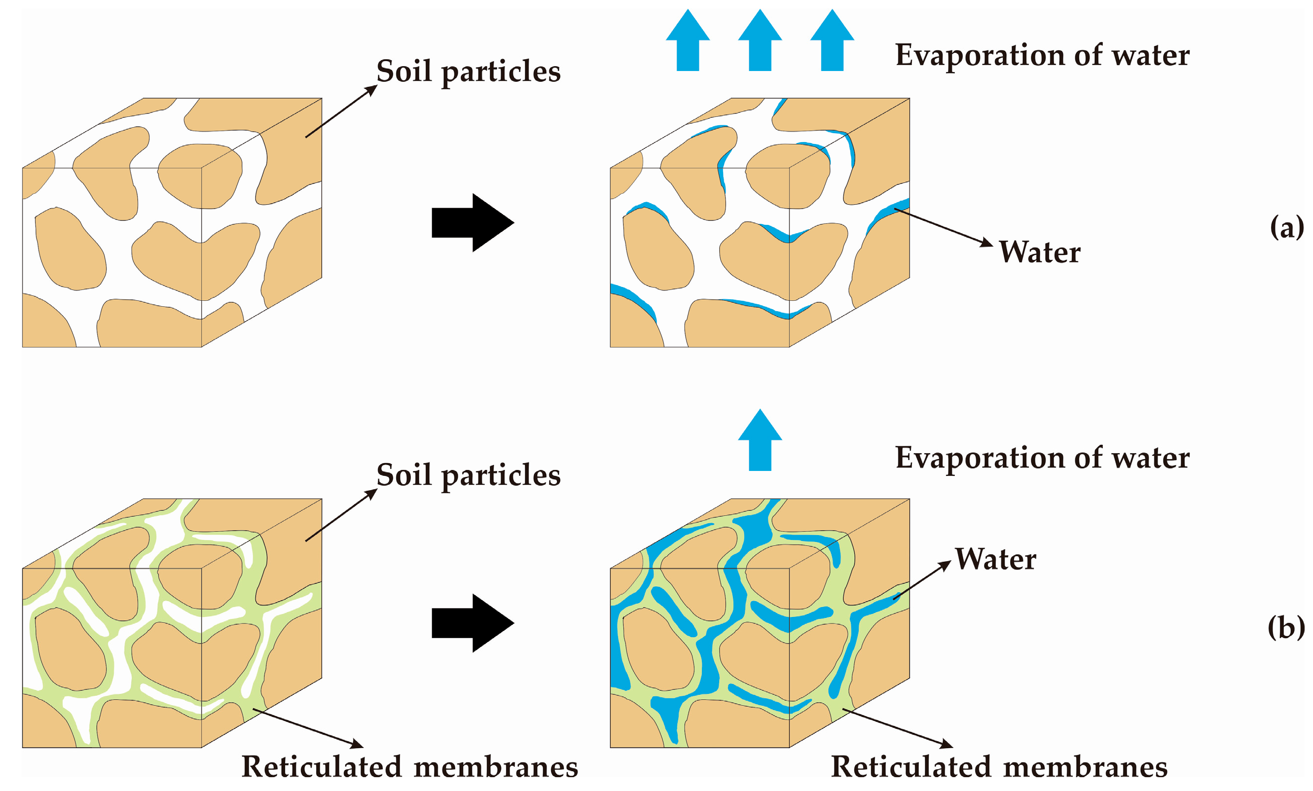 Polymers 11 00506 g009