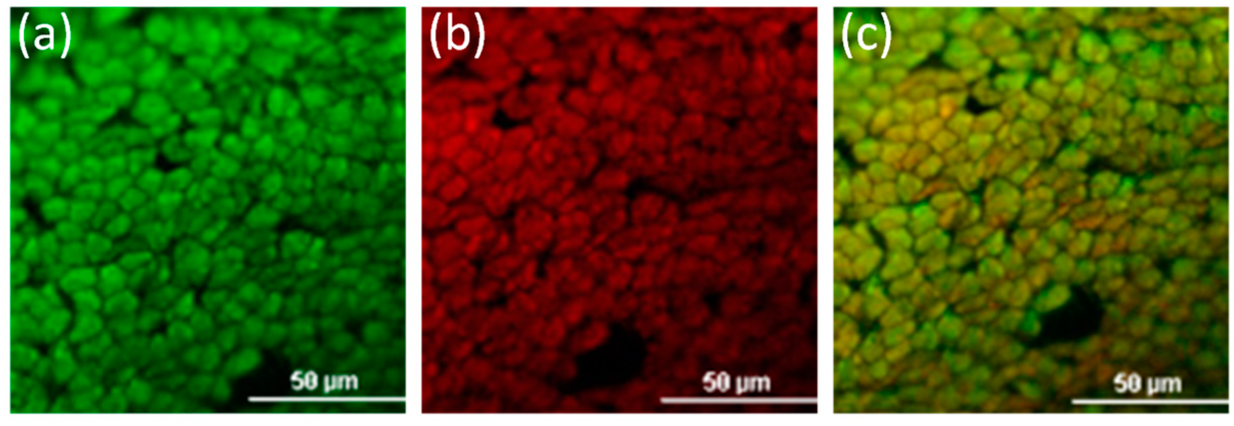Polymers 11 00520 g008