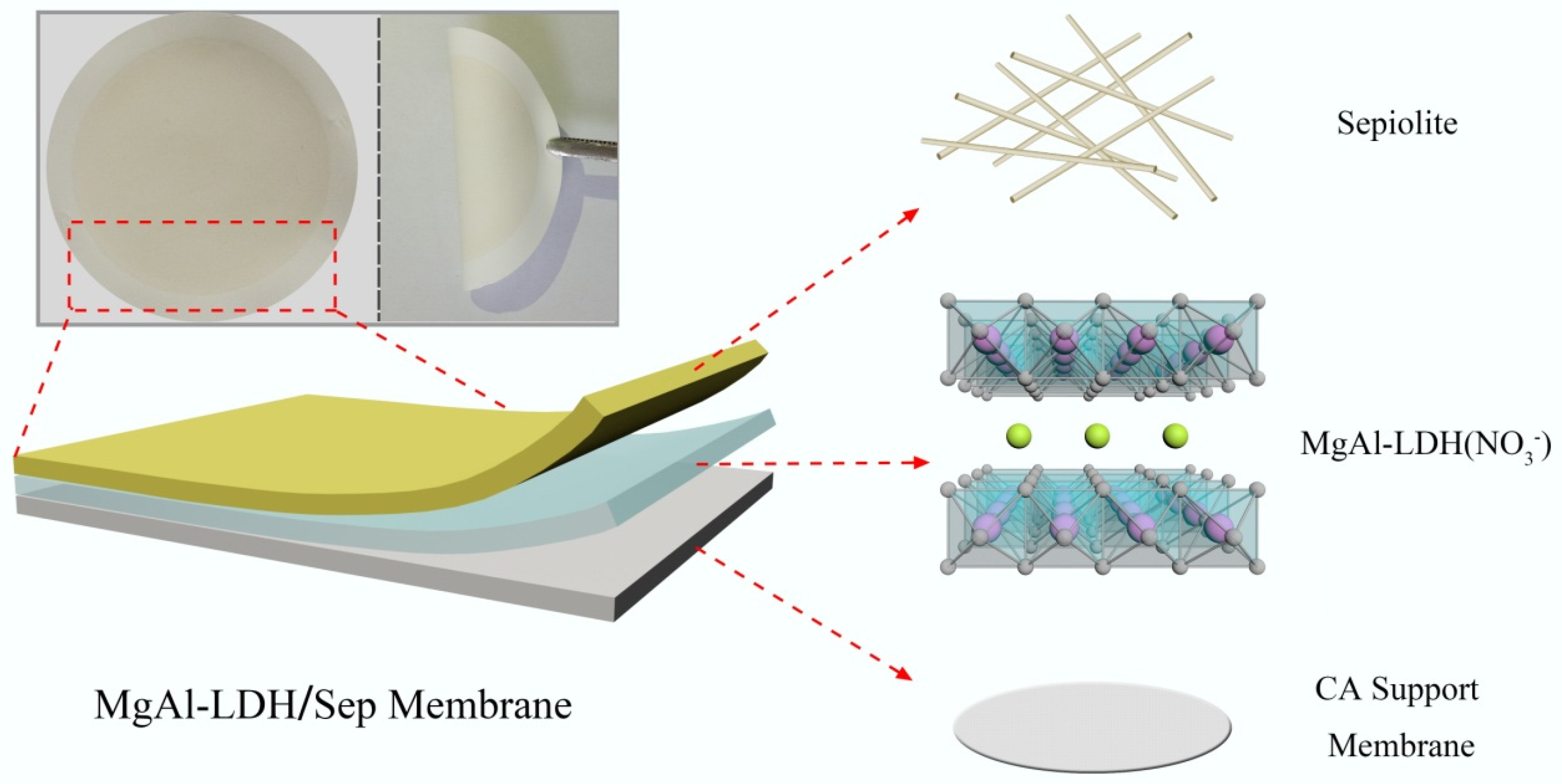 Polymers 11 00525 g001