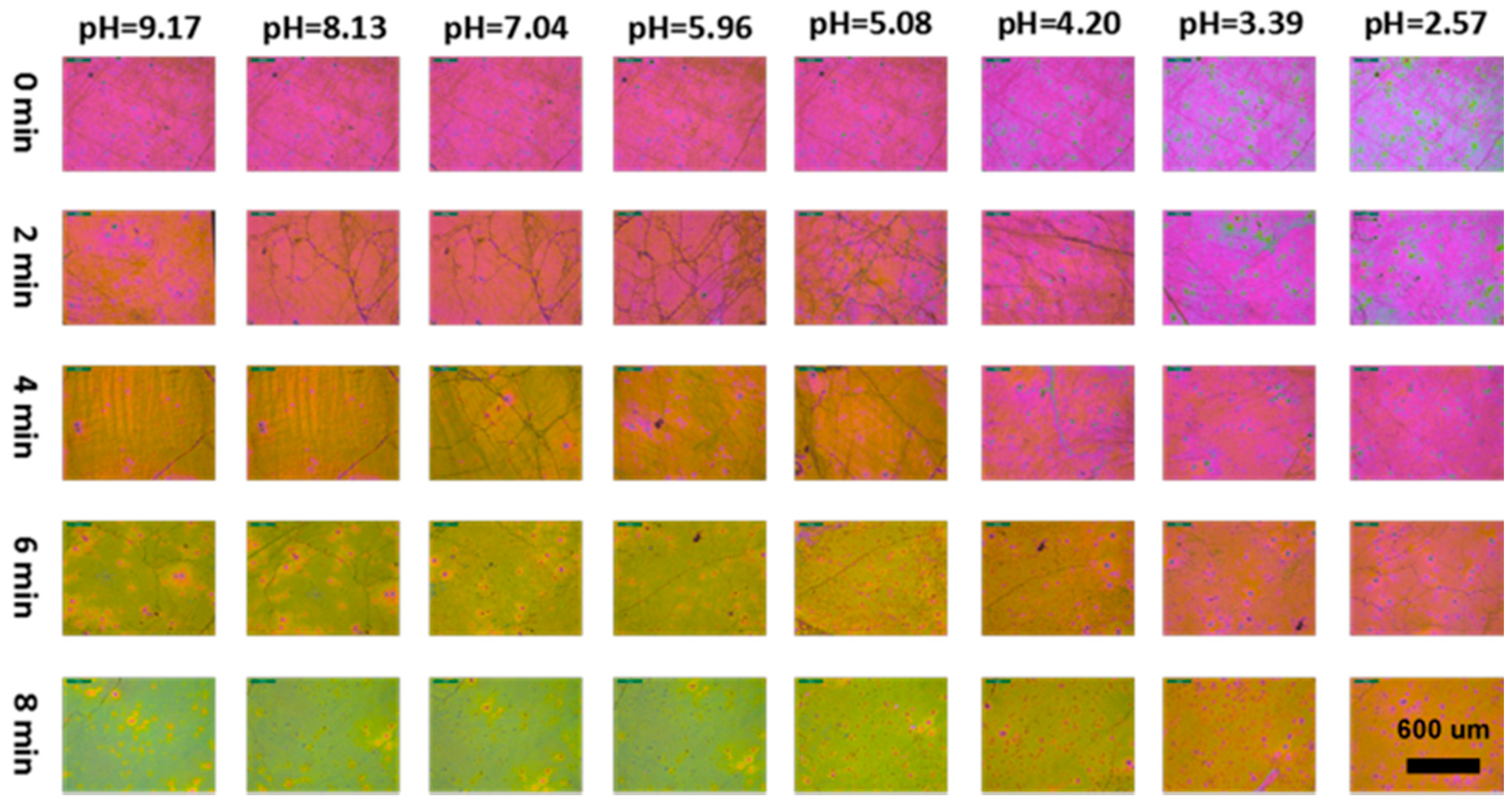 Polymers 11 00534 g007 Polymers 11 00534 g007