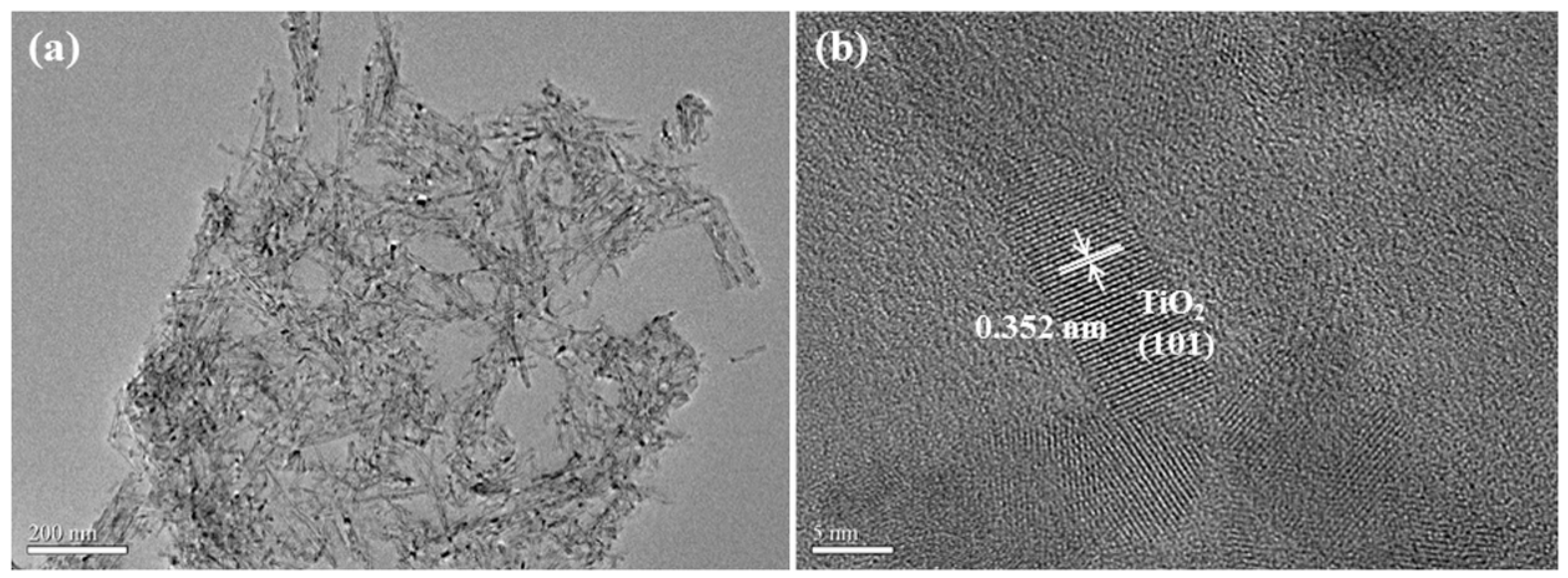 Polymers 11 00555 g001