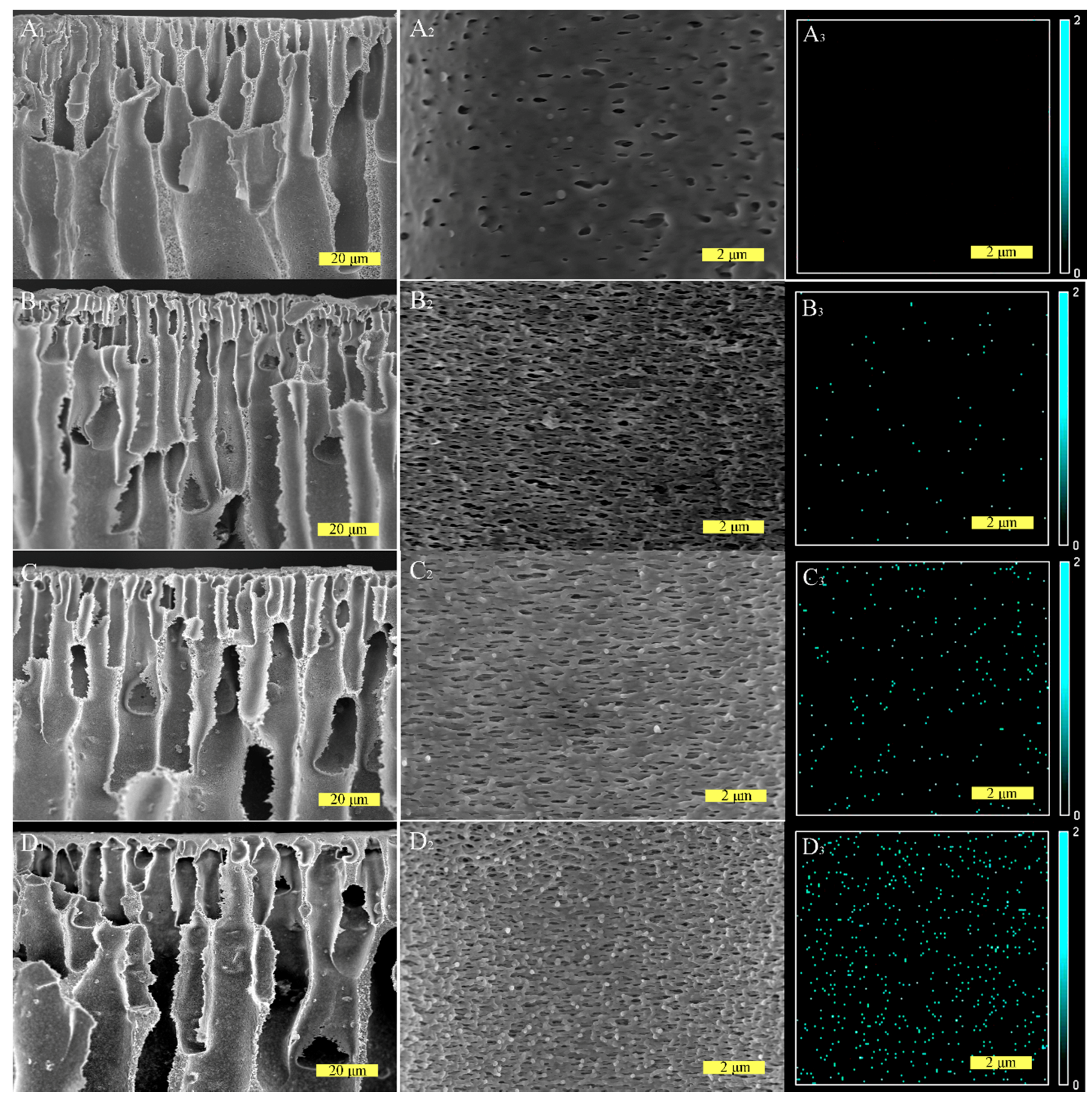 Polymers 11 00555 g003