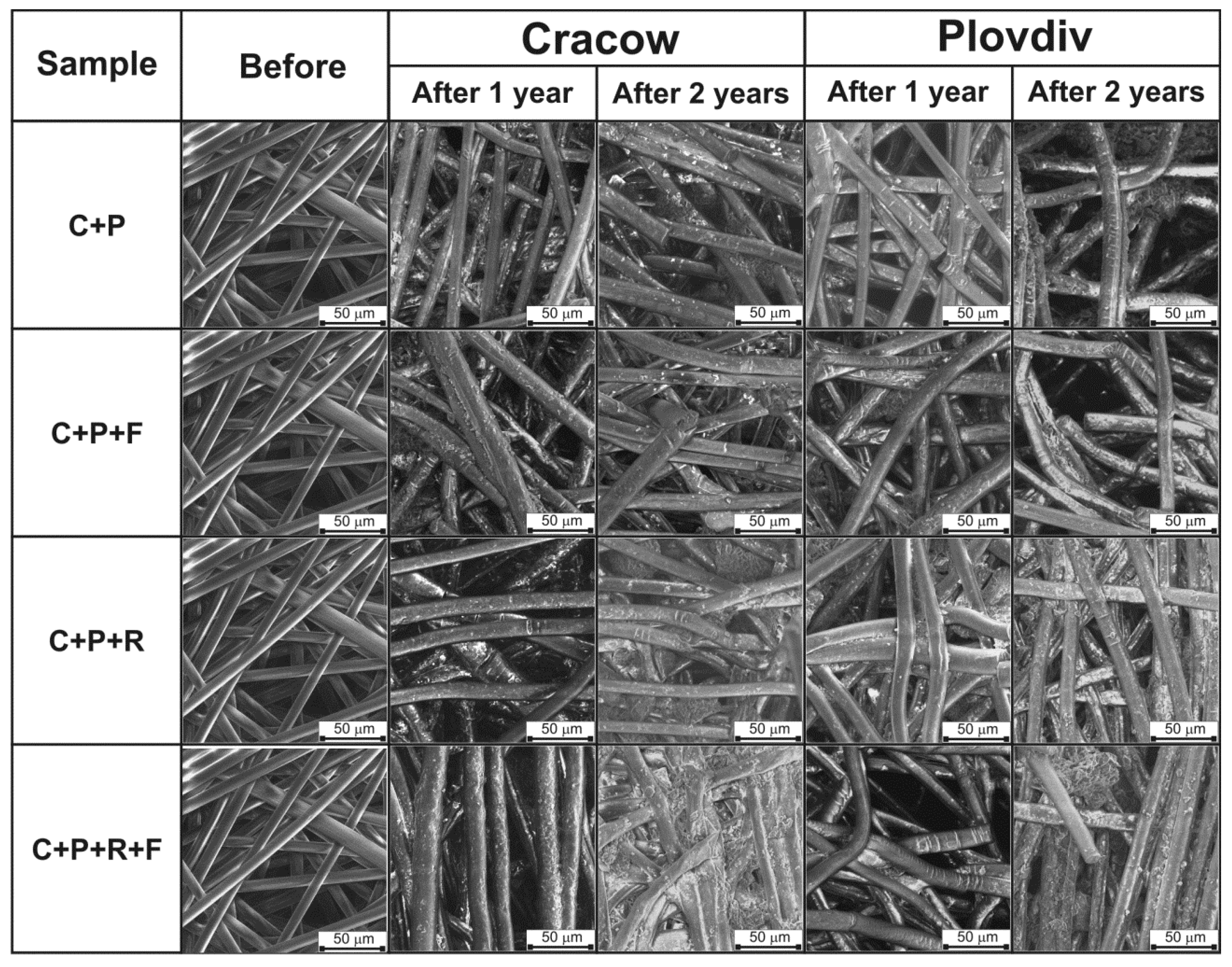 Polymers 11 00559 g001