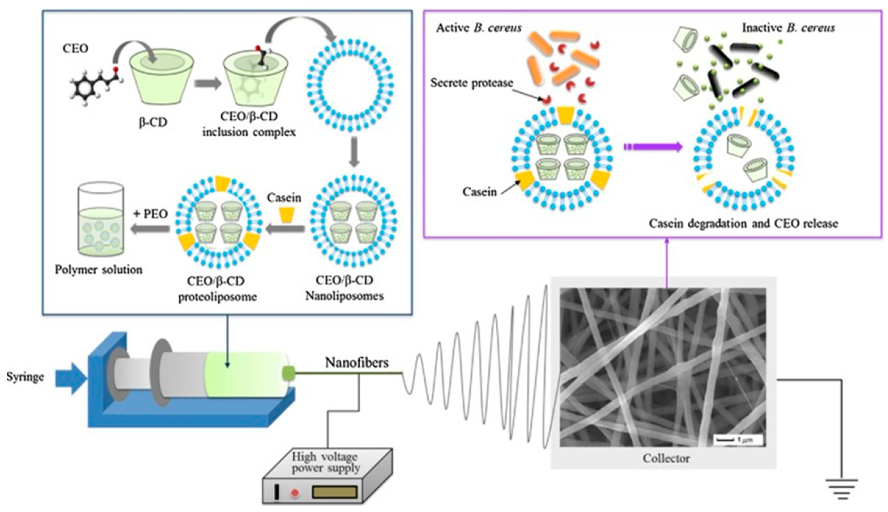 Polymers 11 00560 g002 Polymers 11 00560 g002