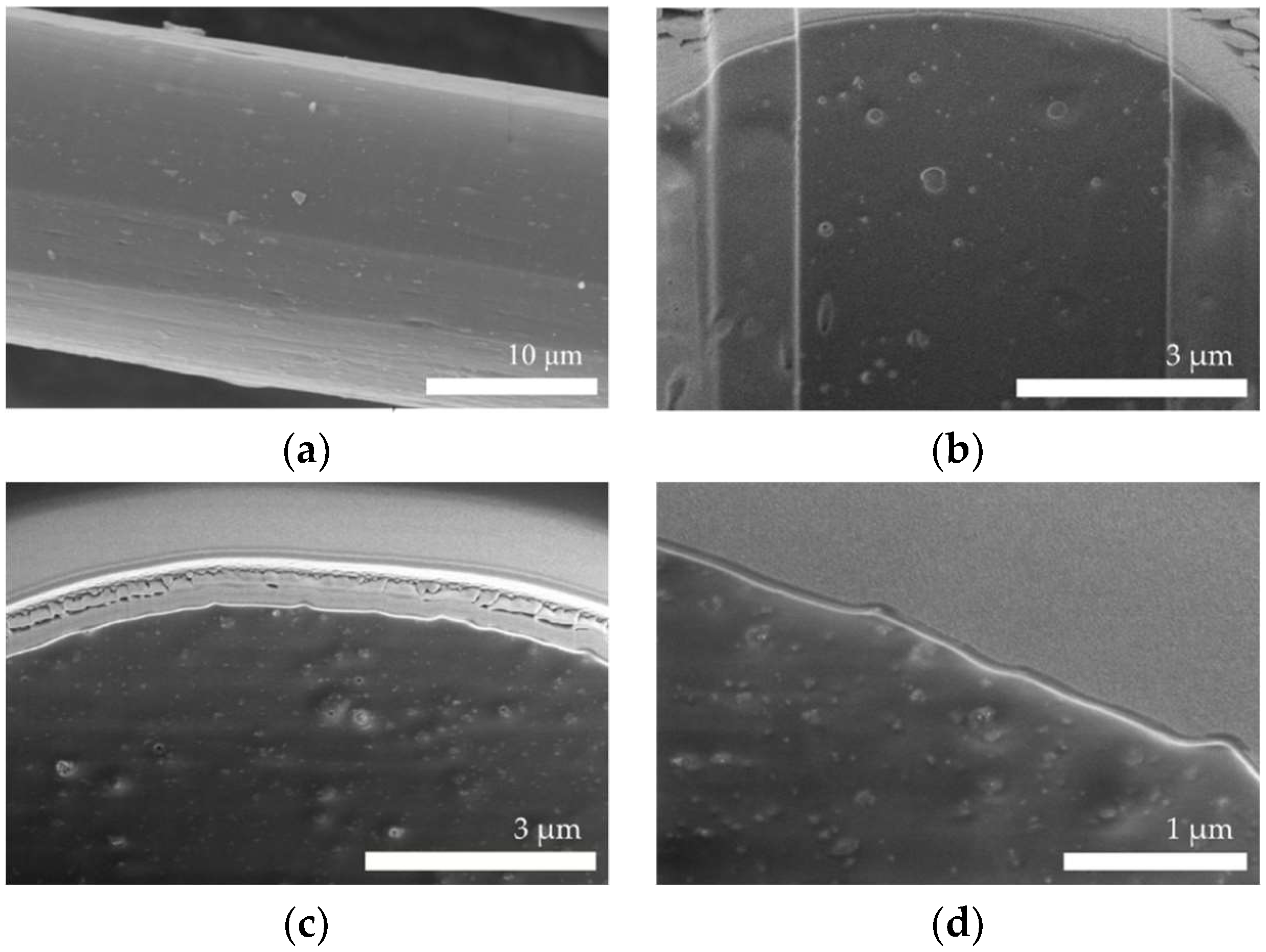 Polymers 11 00562 g002 Polymers 11 00562 g002