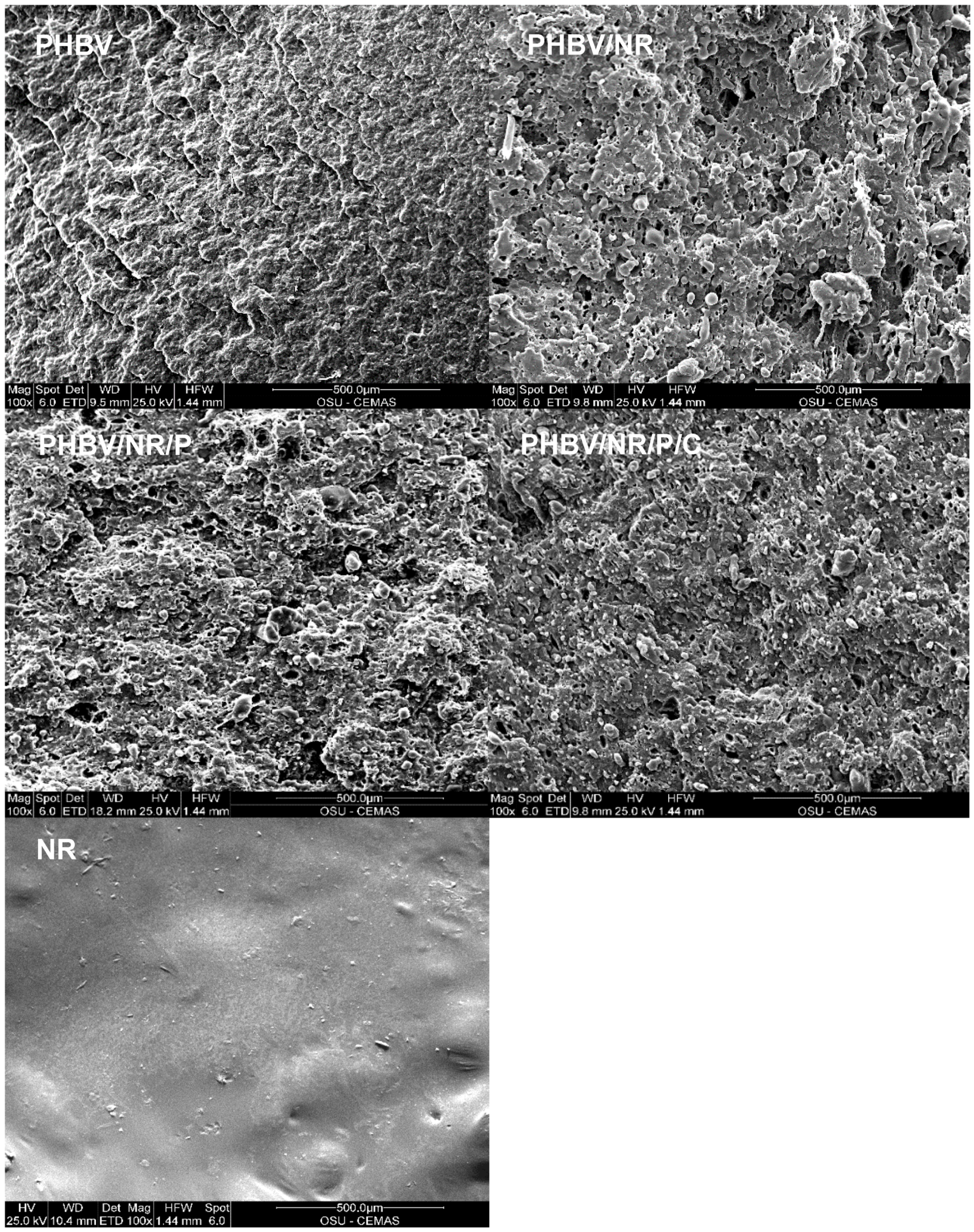 Polymers 11 00565 g005