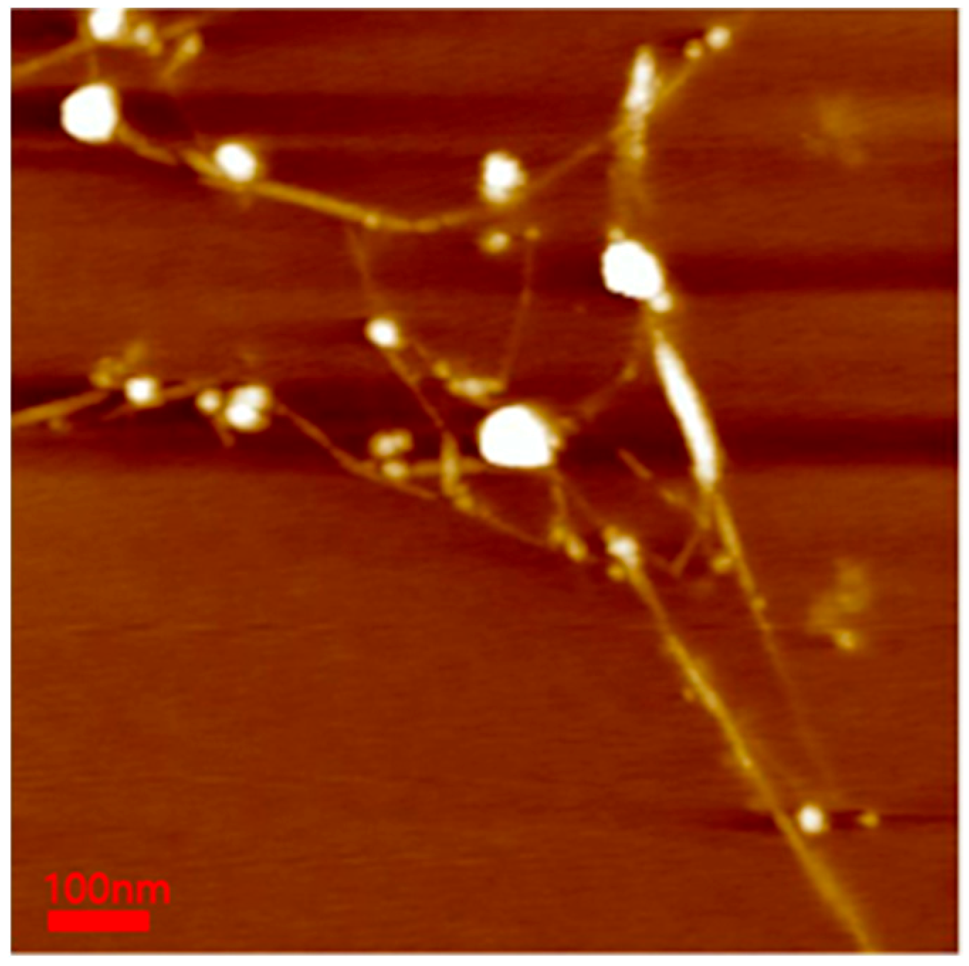 Polymers 11 00582 g007