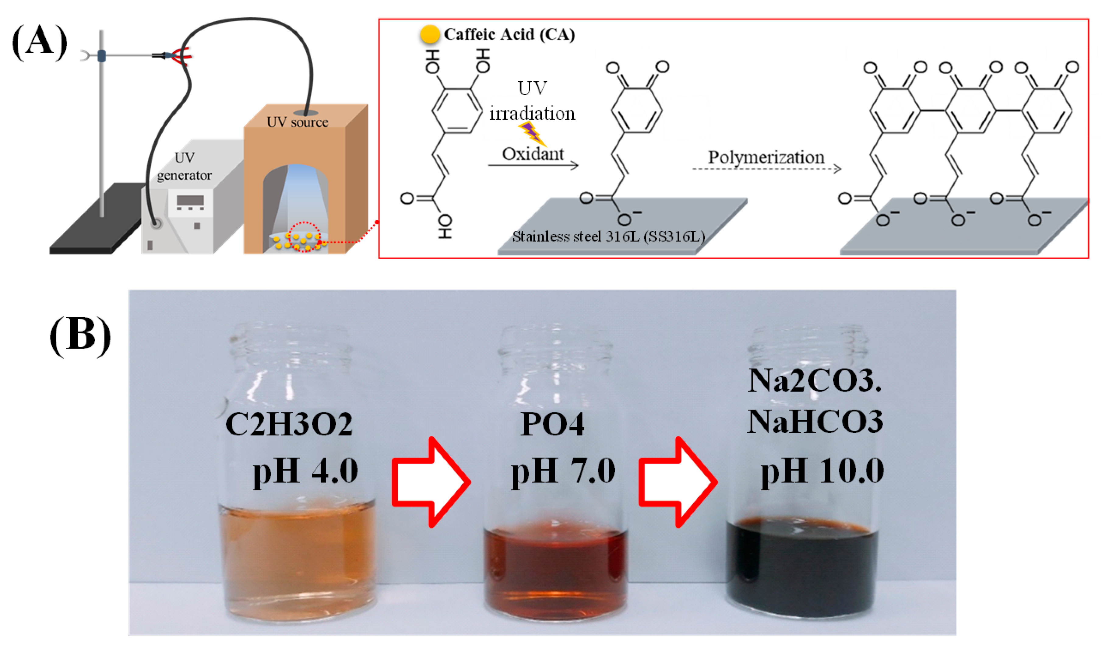 Polymers 11 00584 g001